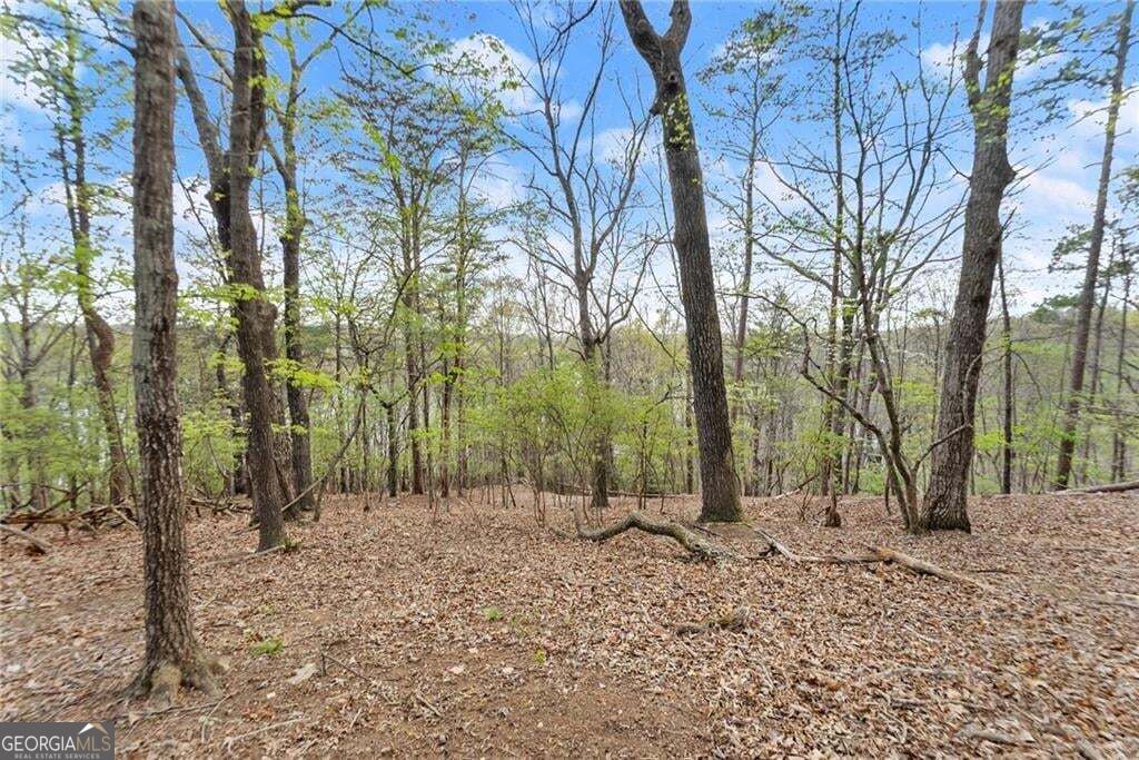 0 Thompson Ovlk Property Photo 12