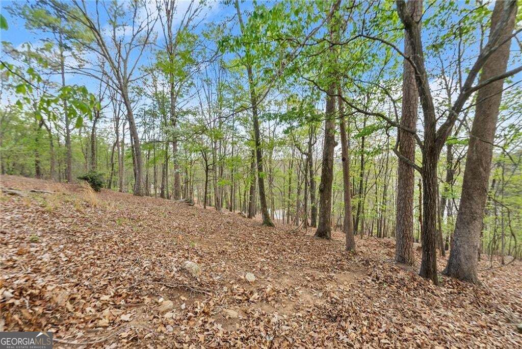 0 Thompson Ovlk Property Photo 15
