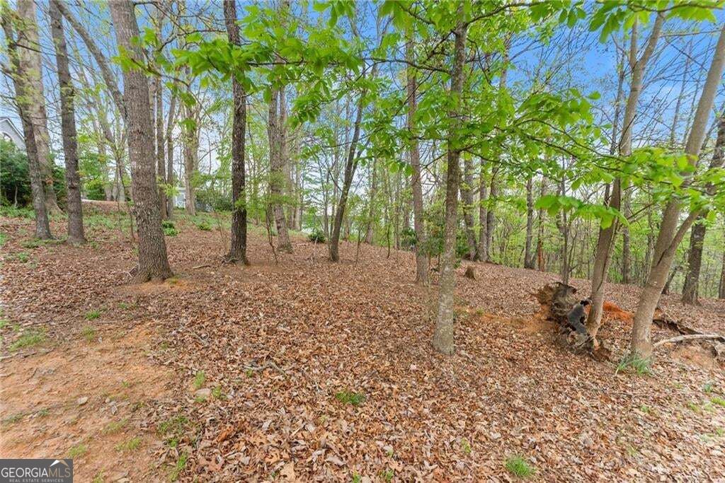 0 Thompson Ovlk Property Photo 18
