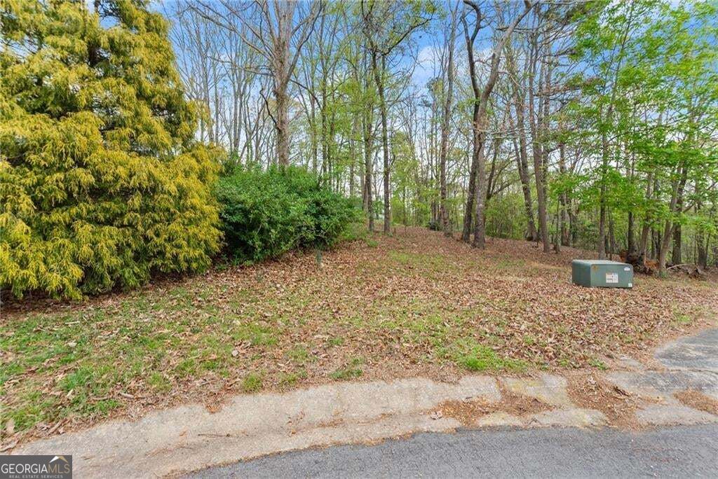 0 Thompson Ovlk Property Photo 20