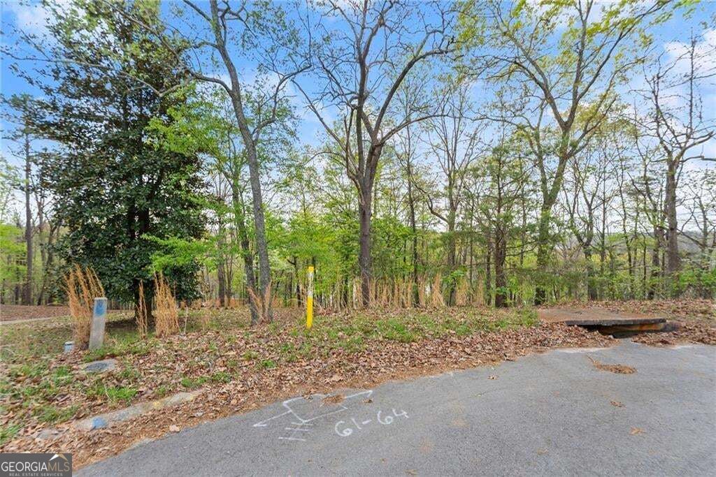 0 Thompson Ovlk Property Photo 21