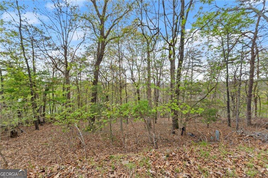 0 Thompson Ovlk Property Photo 22