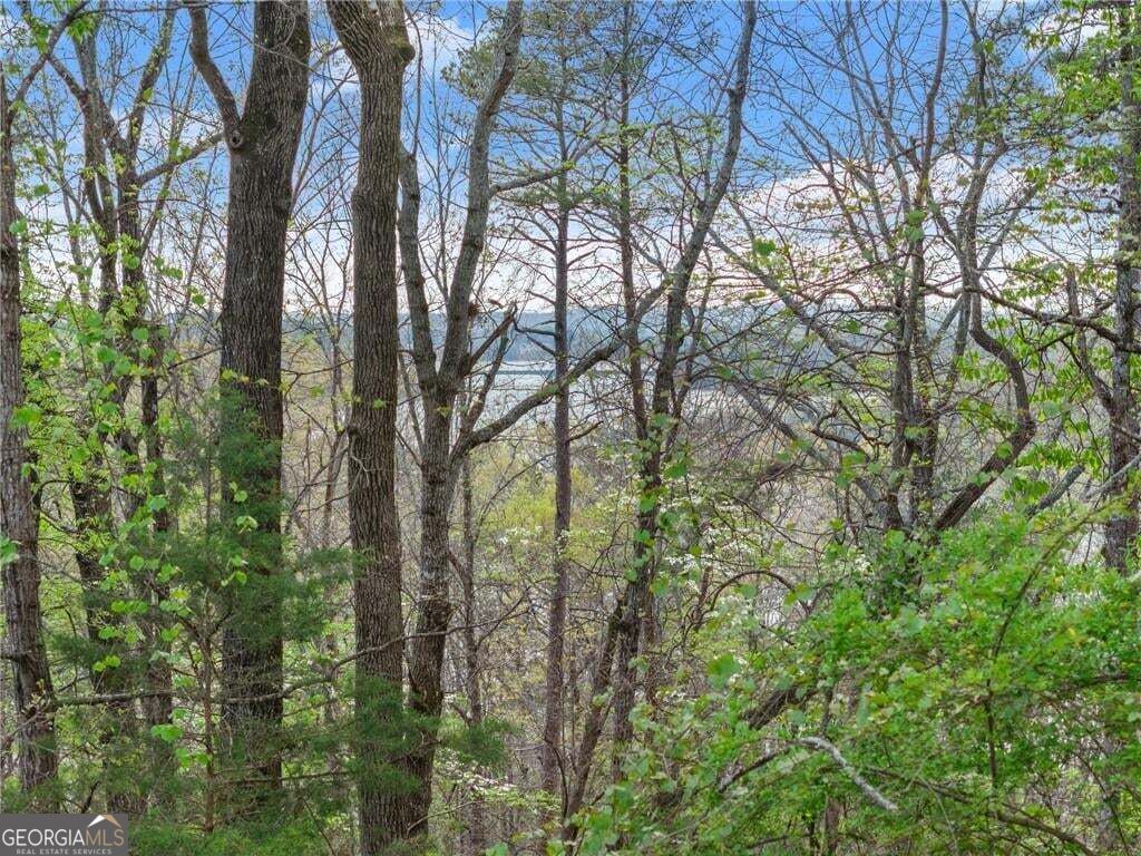 0 Thompson Ovlk Property Photo 24