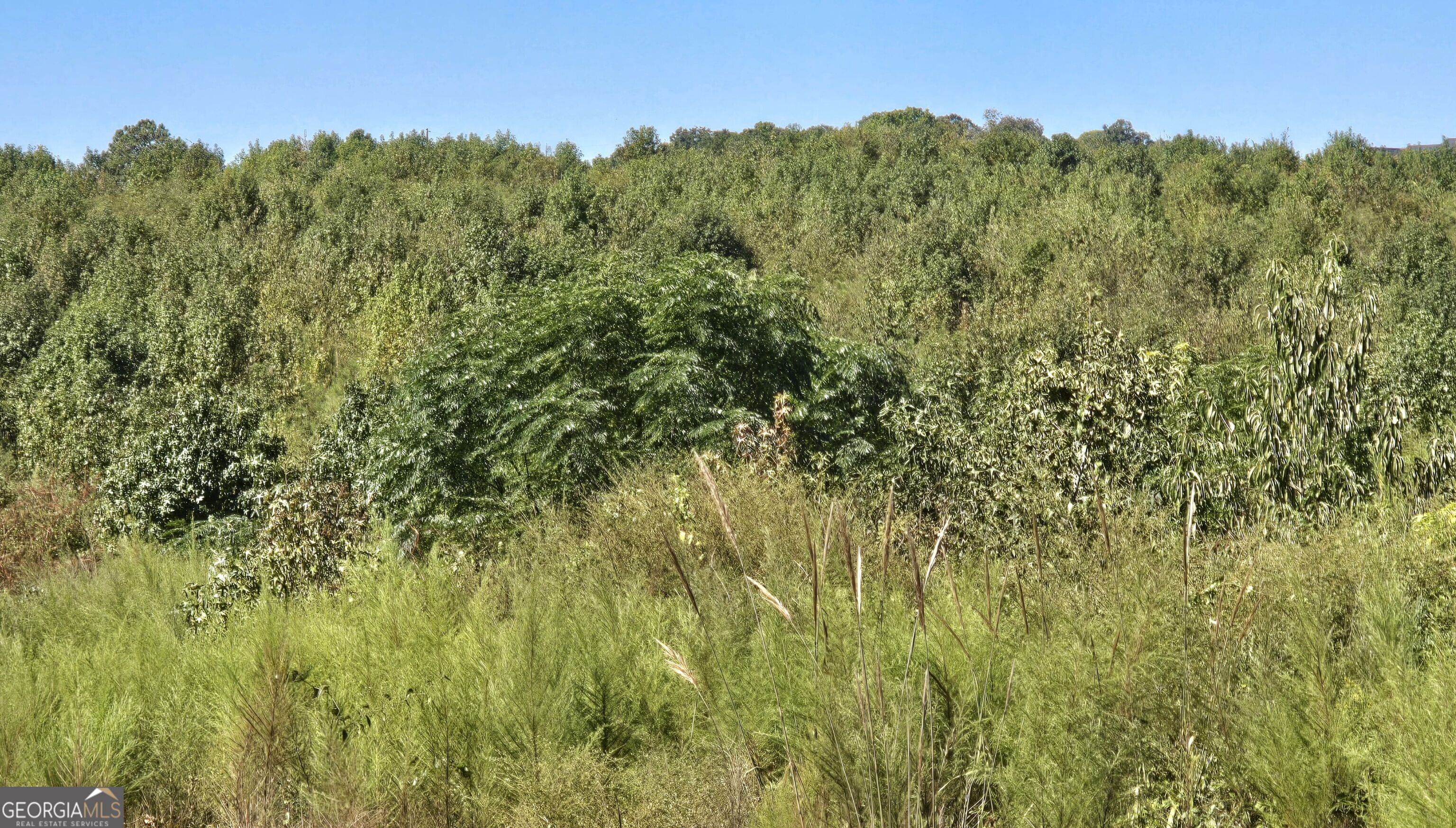 0000 Highway 172 Property Photo 6