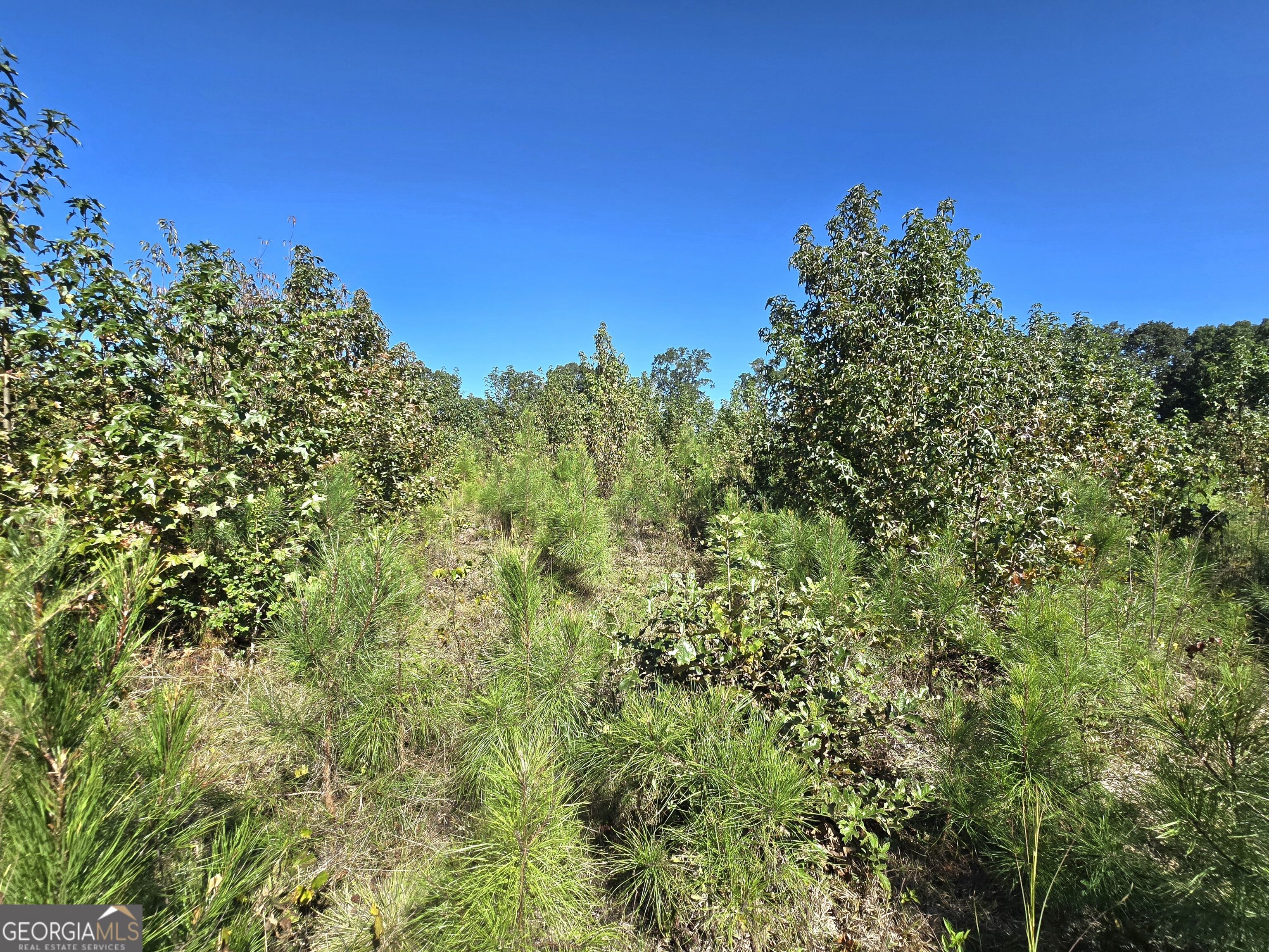 0000 Highway 172 Property Photo 8