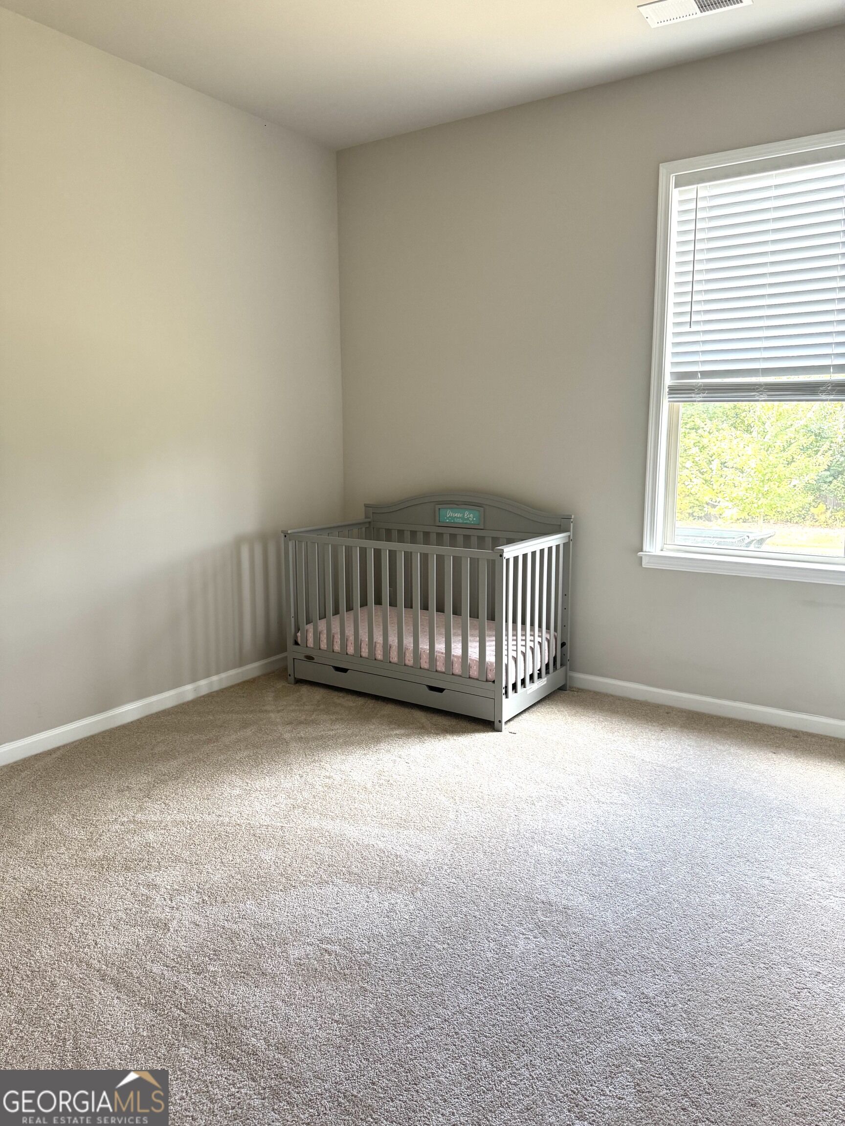 312 Basel Way Property Photo 22