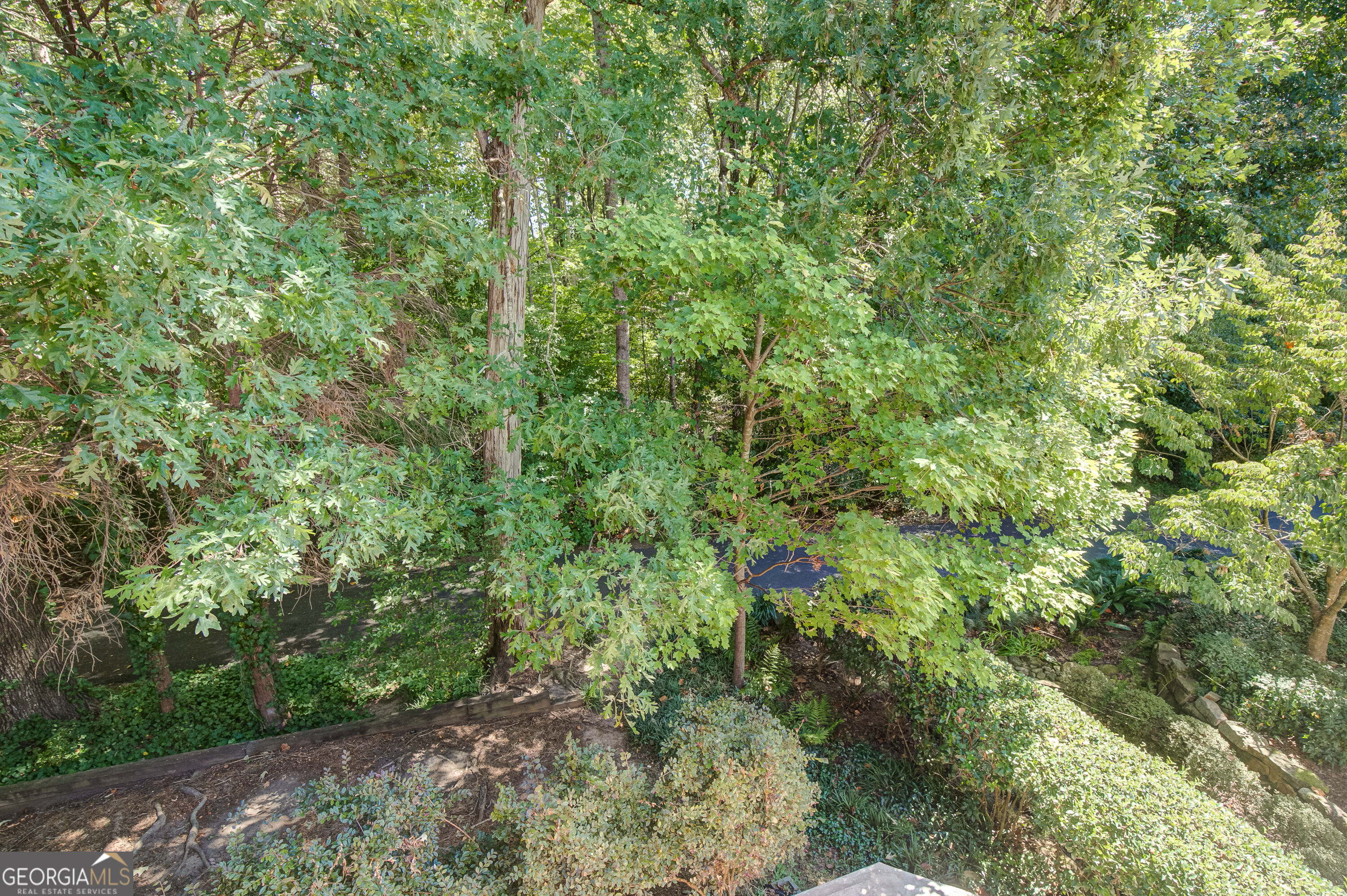 121 Augusta Drive Property Photo 84