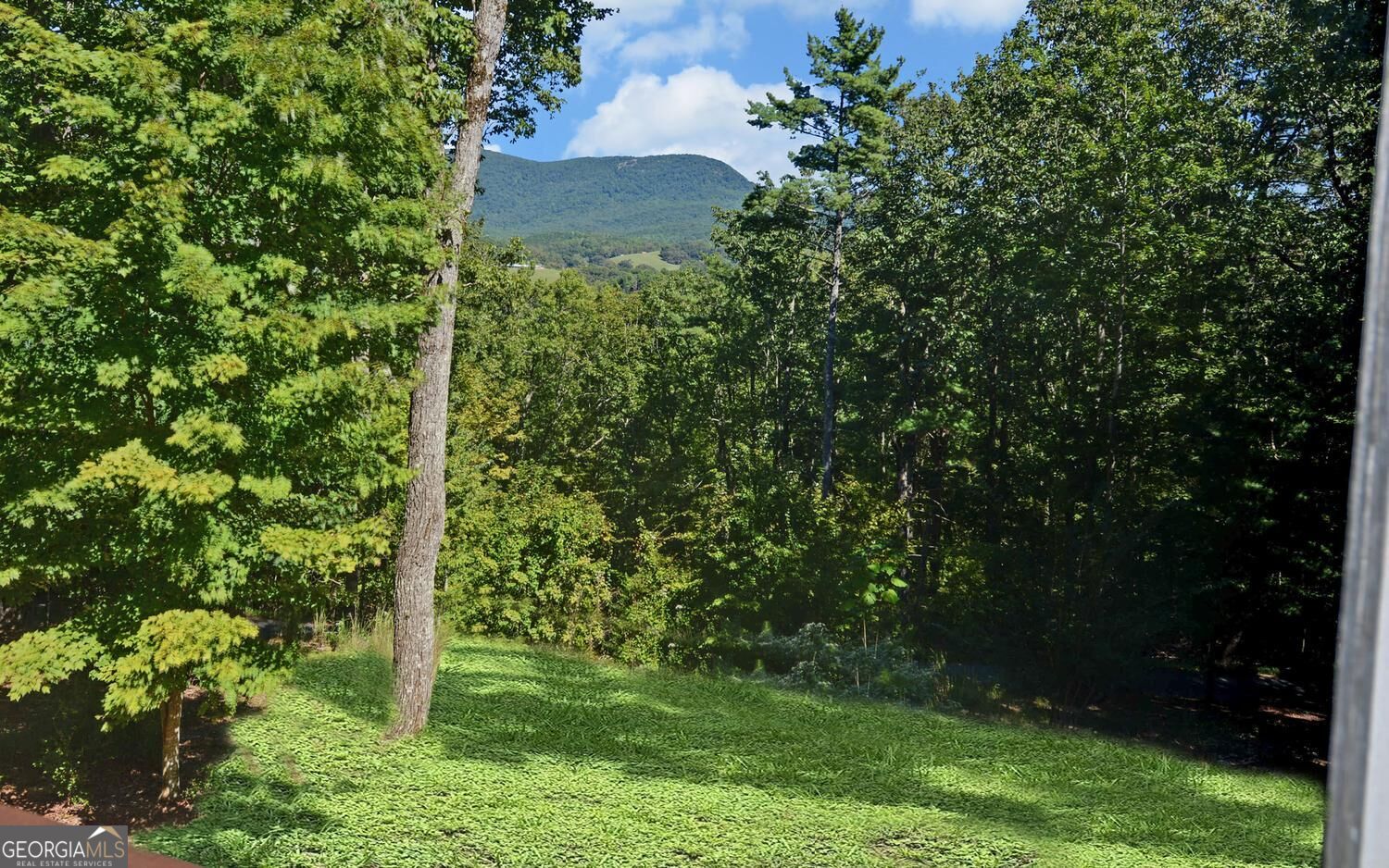 447 Emerald Ridge Property Photo 39