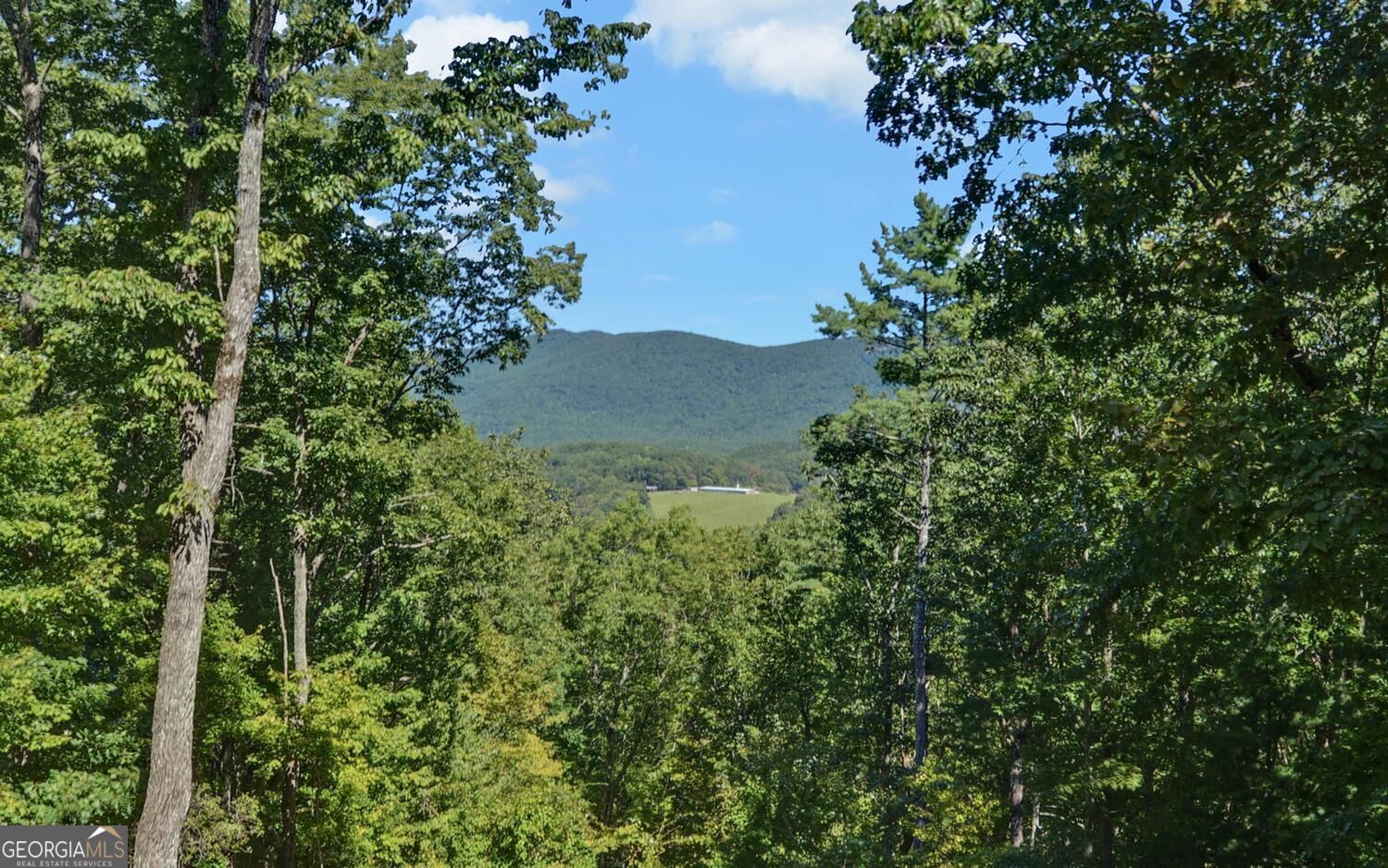 447 Emerald Ridge Property Photo 42
