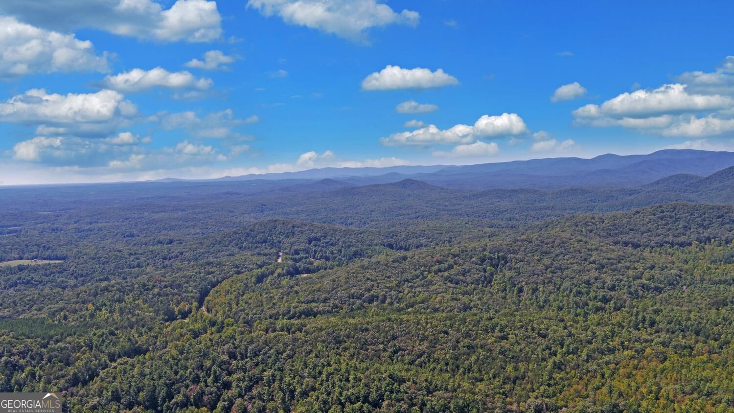447 Emerald Ridge Property Photo 86