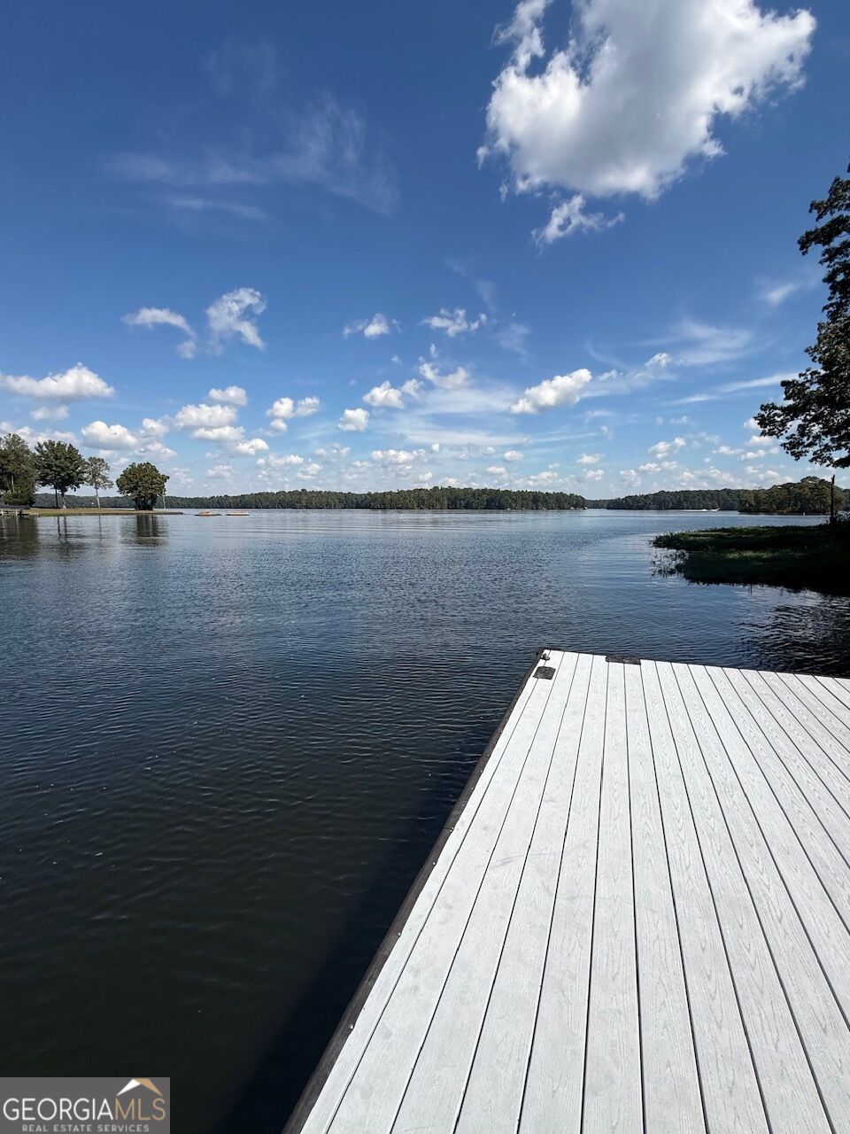 415 Long Shoals Drive Property Photo 26