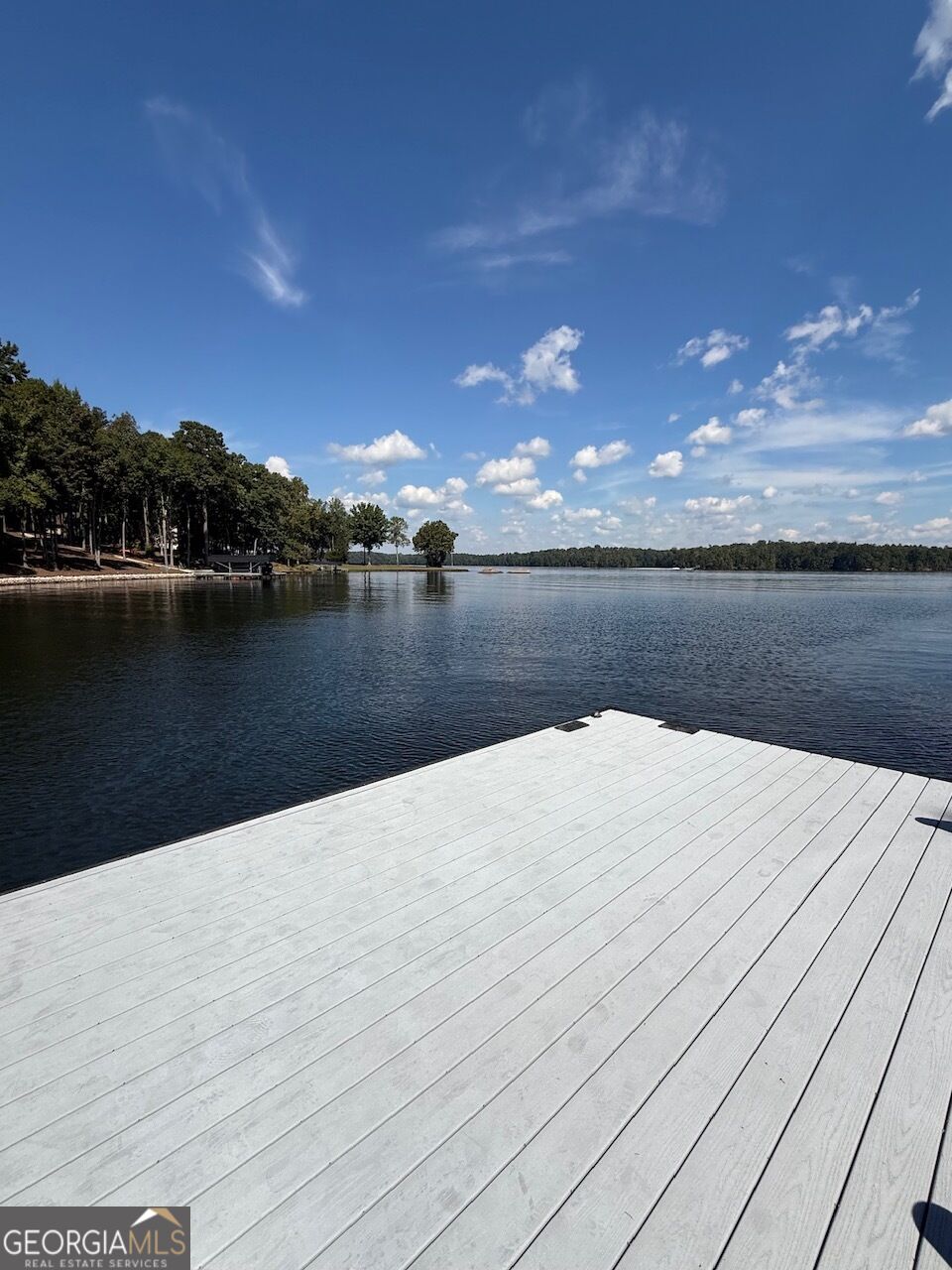 415 Long Shoals Drive Property Photo 27