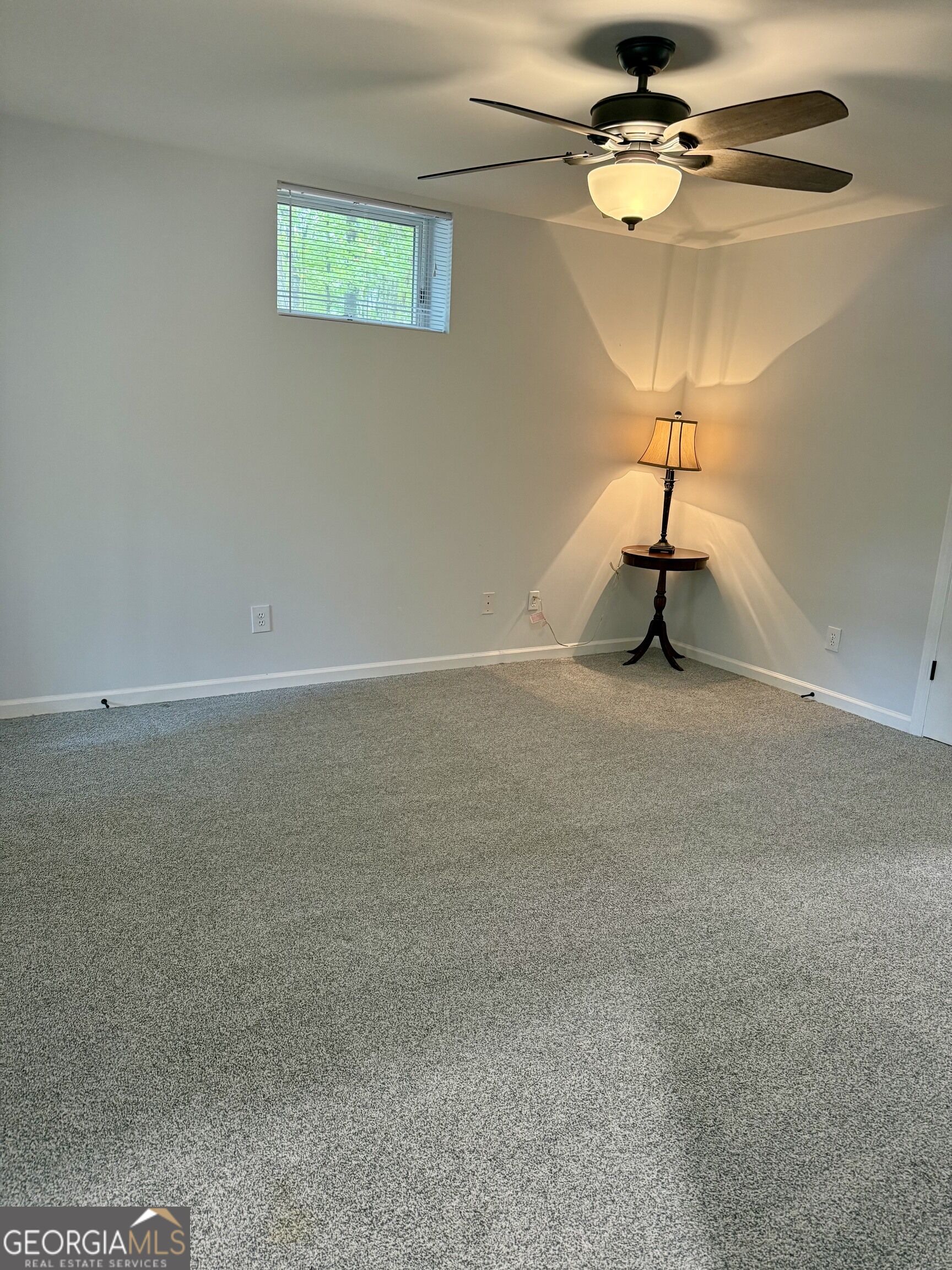 415 Long Shoals Drive Property Photo 58