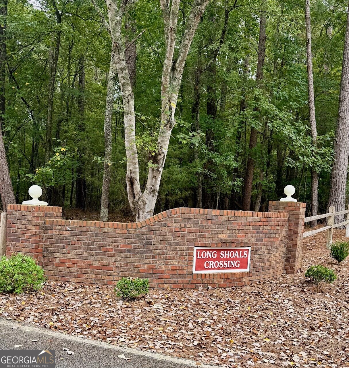 415 Long Shoals Drive Property Photo 81
