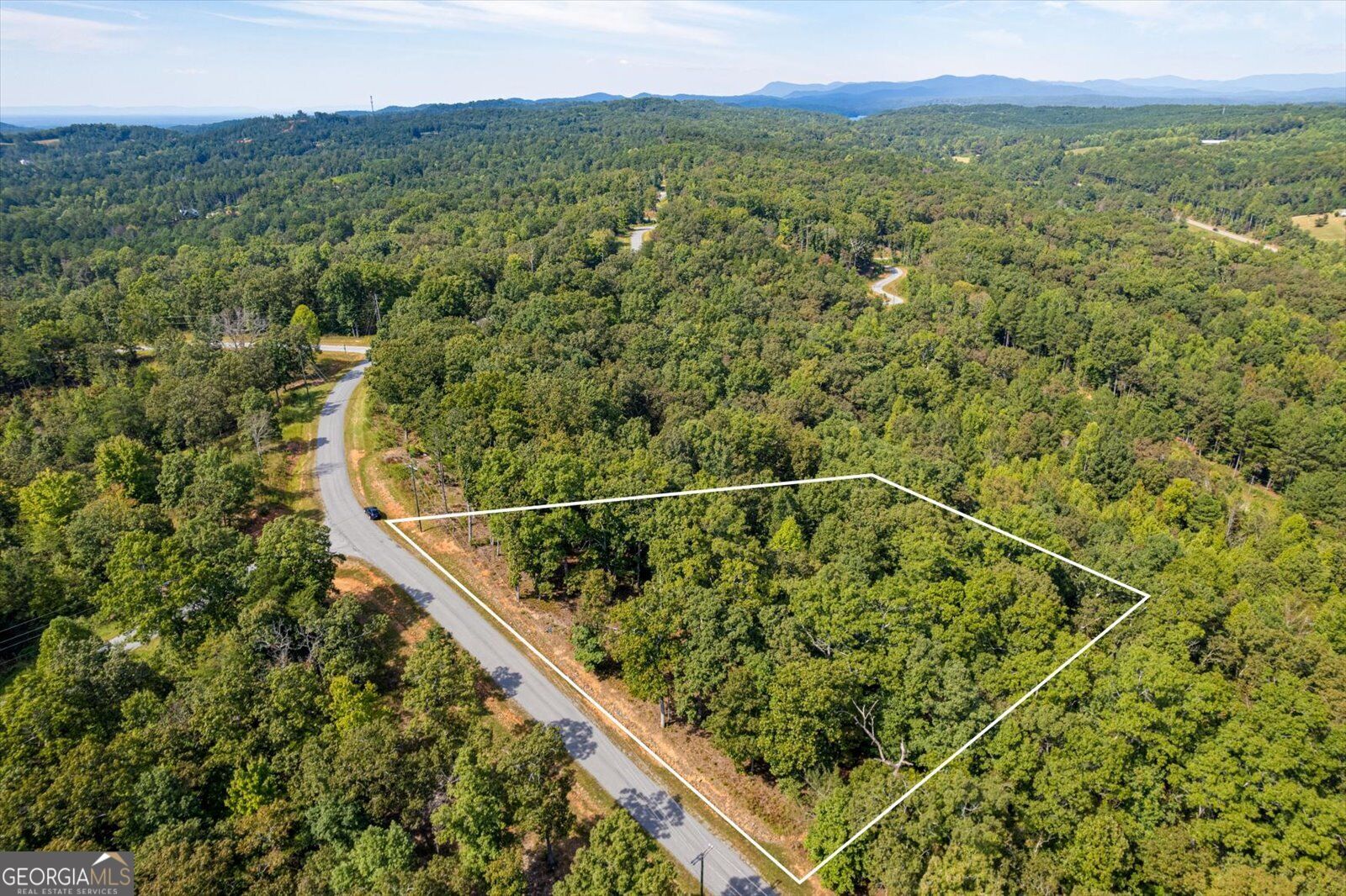 Lot 3 Blalock Mountain Road Property Photo 4