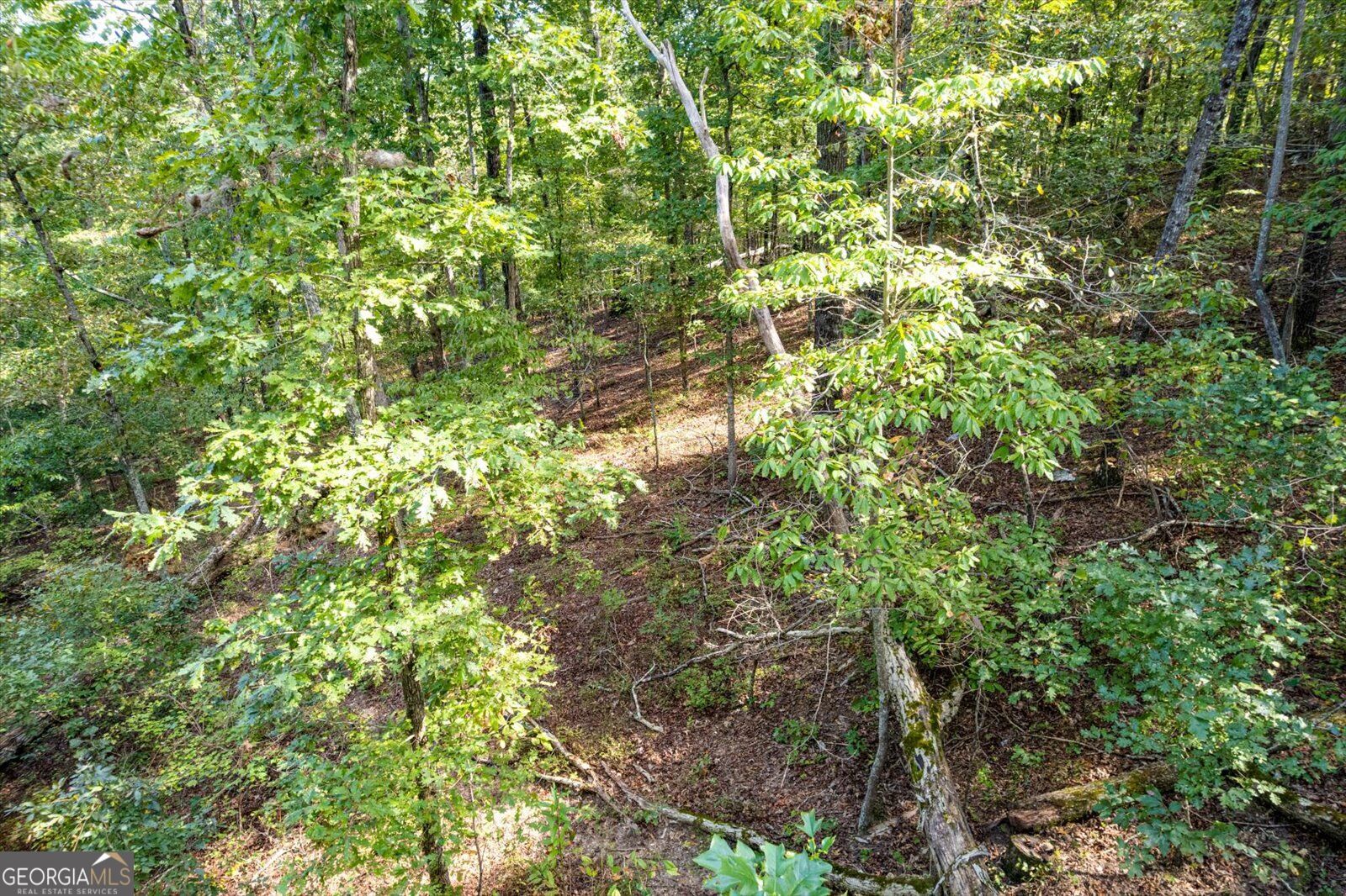 Lot 3 Blalock Mountain Road Property Photo 15