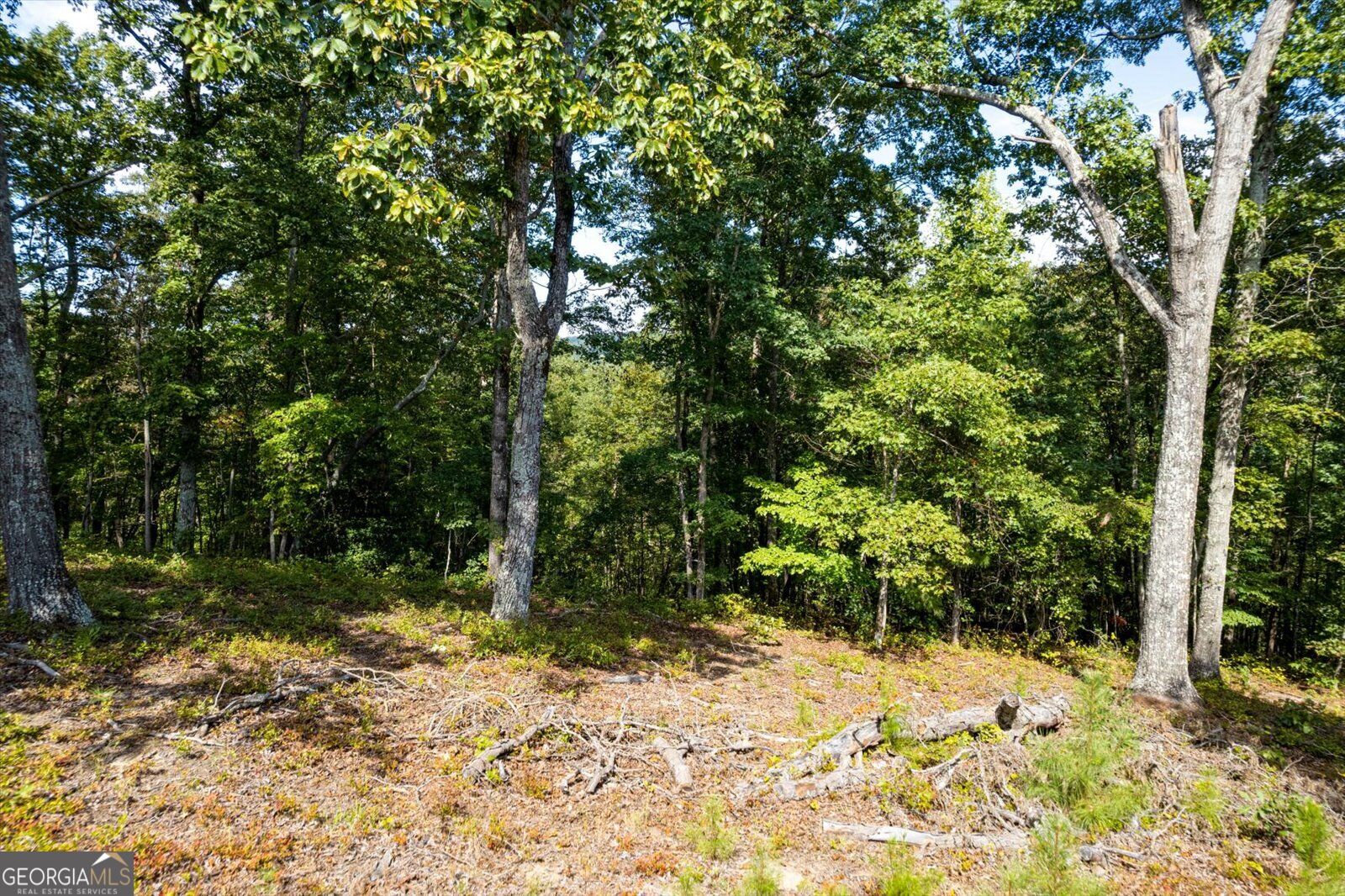 Lot 3 Blalock Mountain Road Property Photo 17