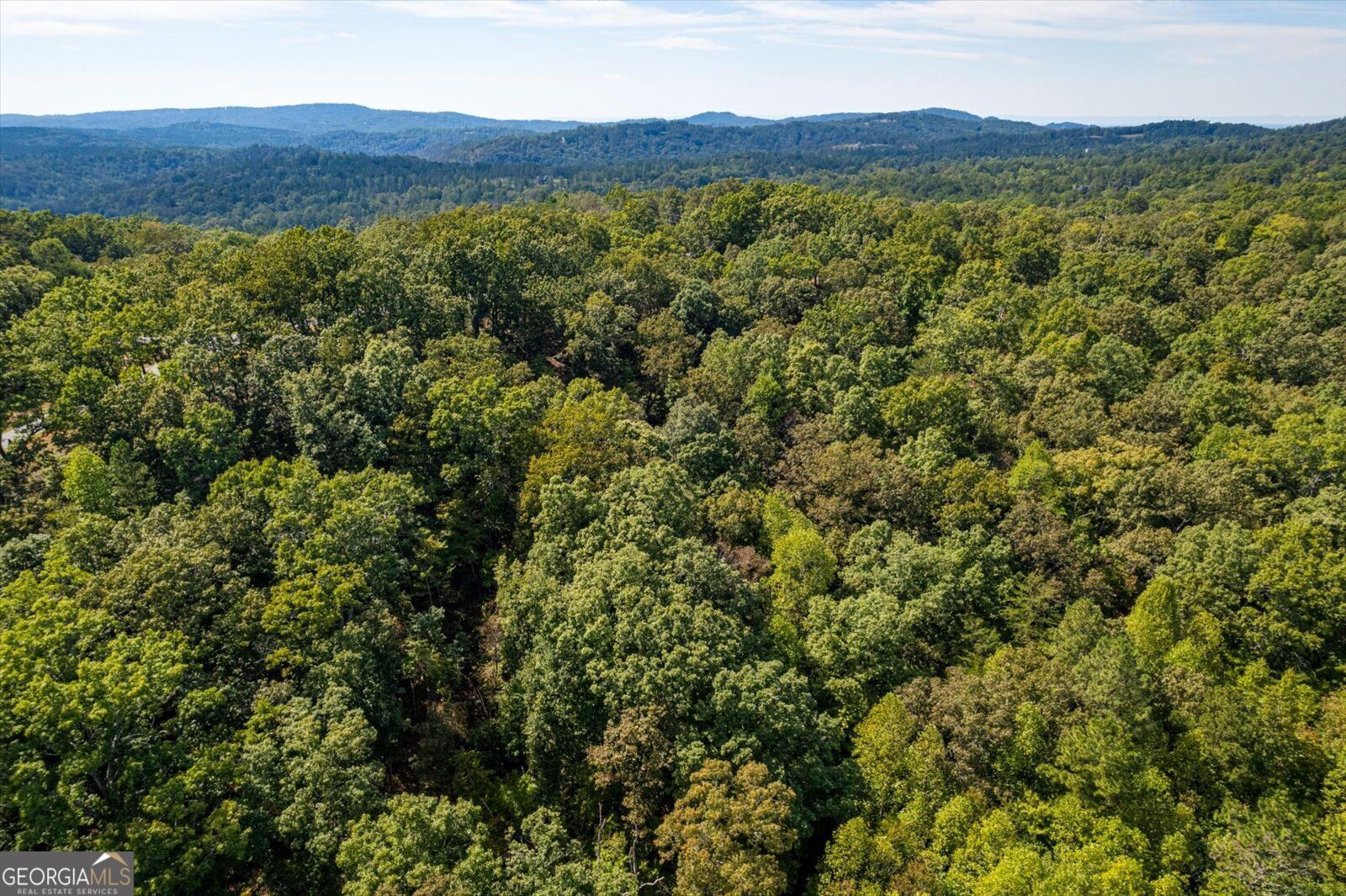 Lot 3 Blalock Mountain Road Property Photo 19