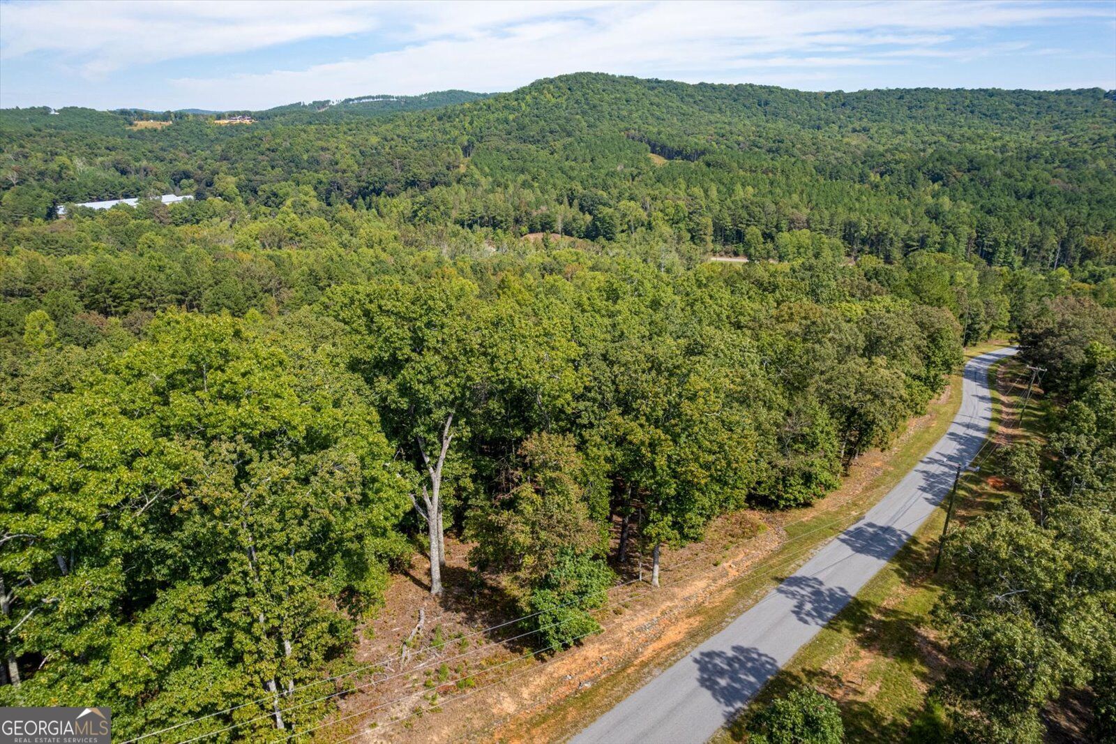 Lot 3 Blalock Mountain Road Property Photo 27
