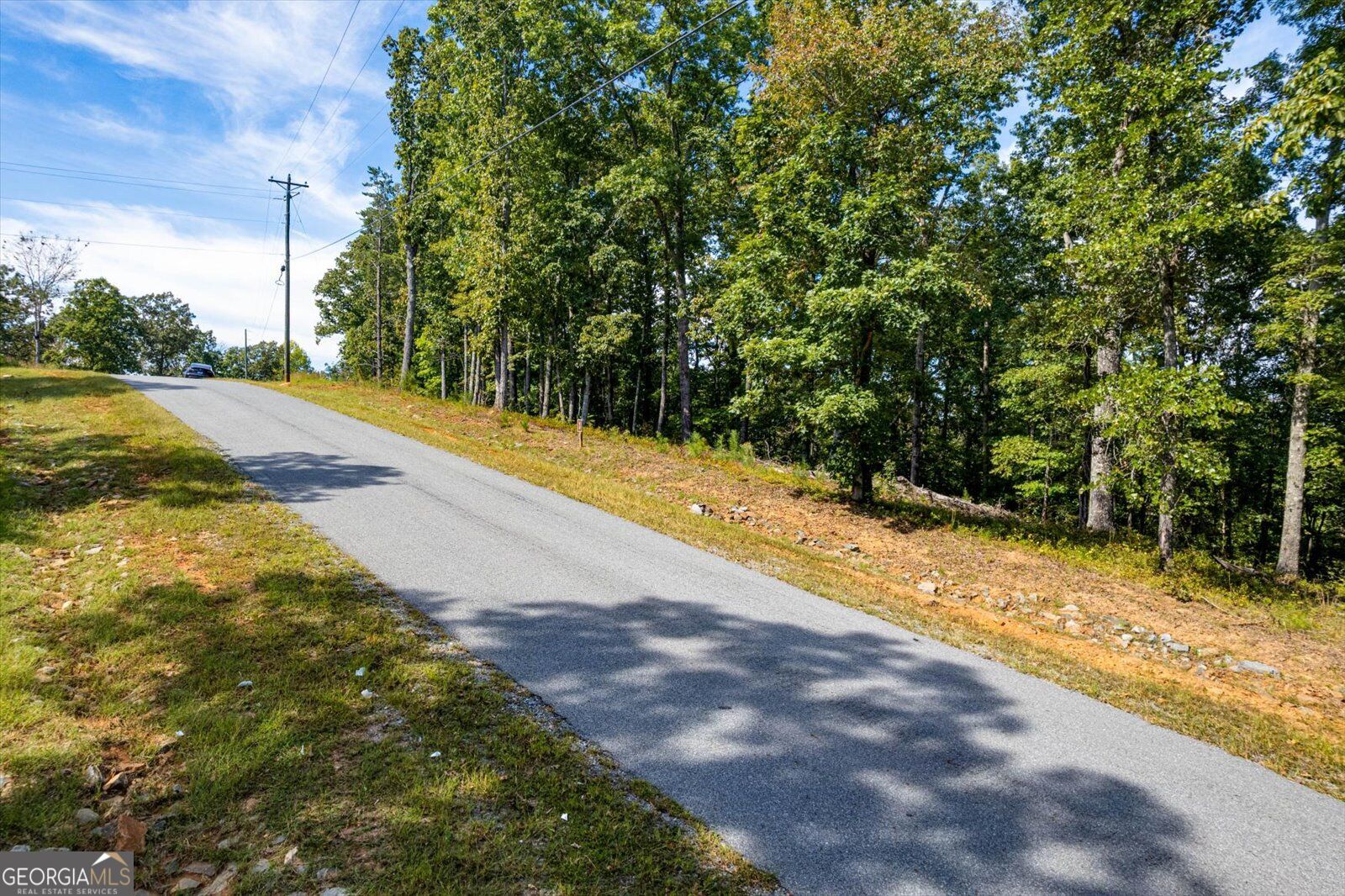 Lot 3 Blalock Mountain Road Property Photo 28