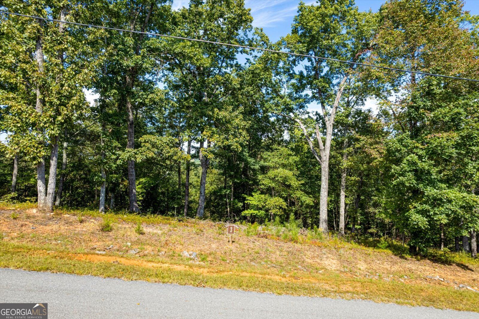 Lot 3 Blalock Mountain Road Property Photo 29