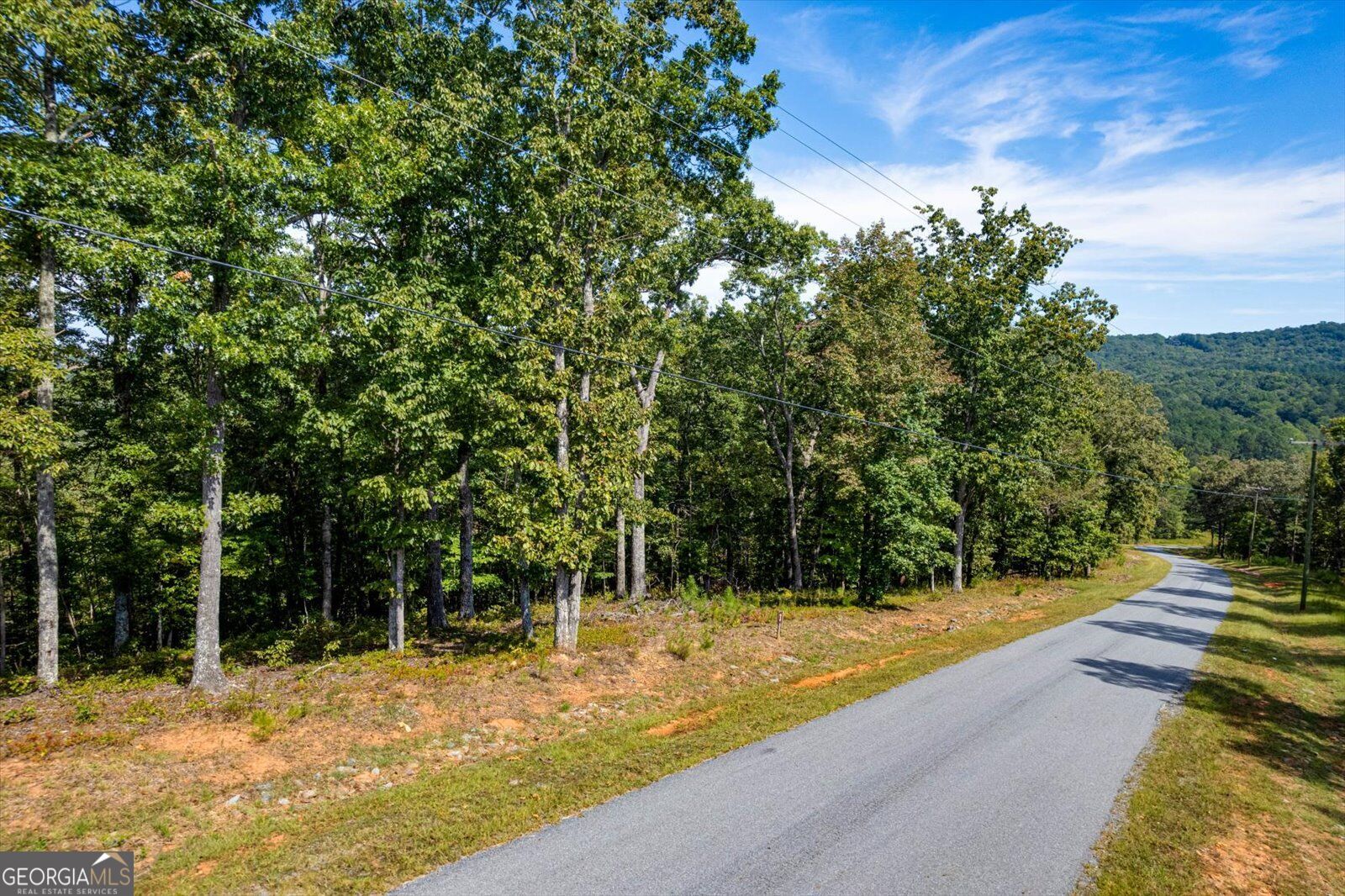 Lot 3 Blalock Mountain Road Property Photo 30
