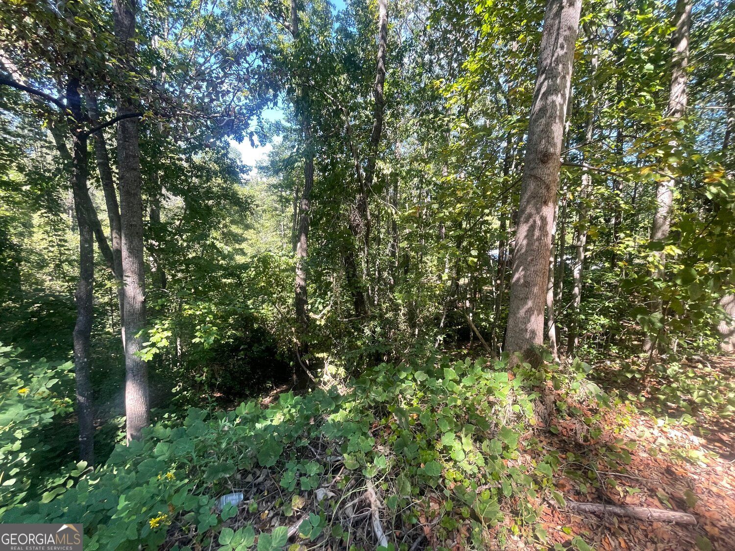 0 Eagle Court Property Photo 4