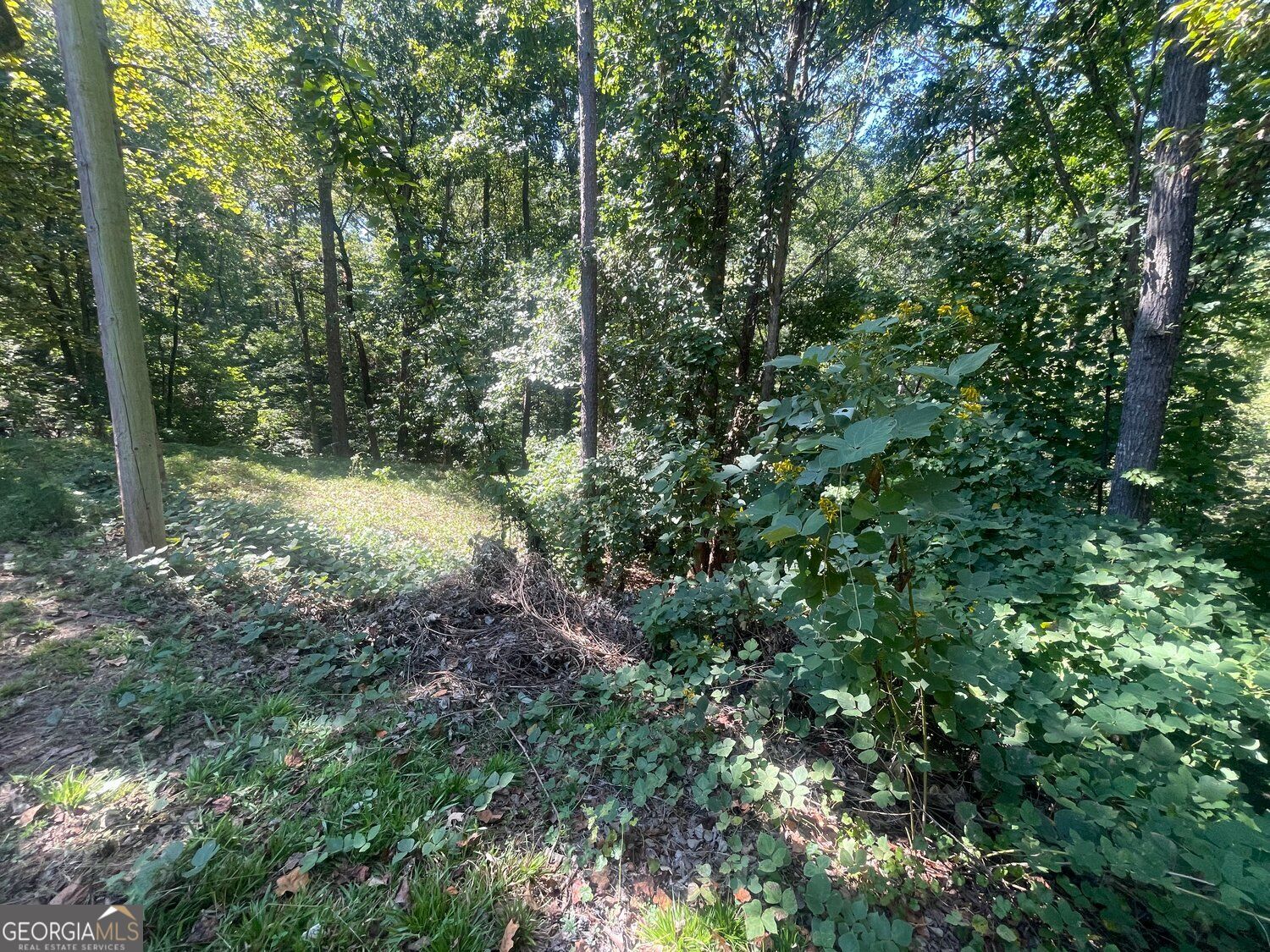 0 Eagle Court Property Photo 6