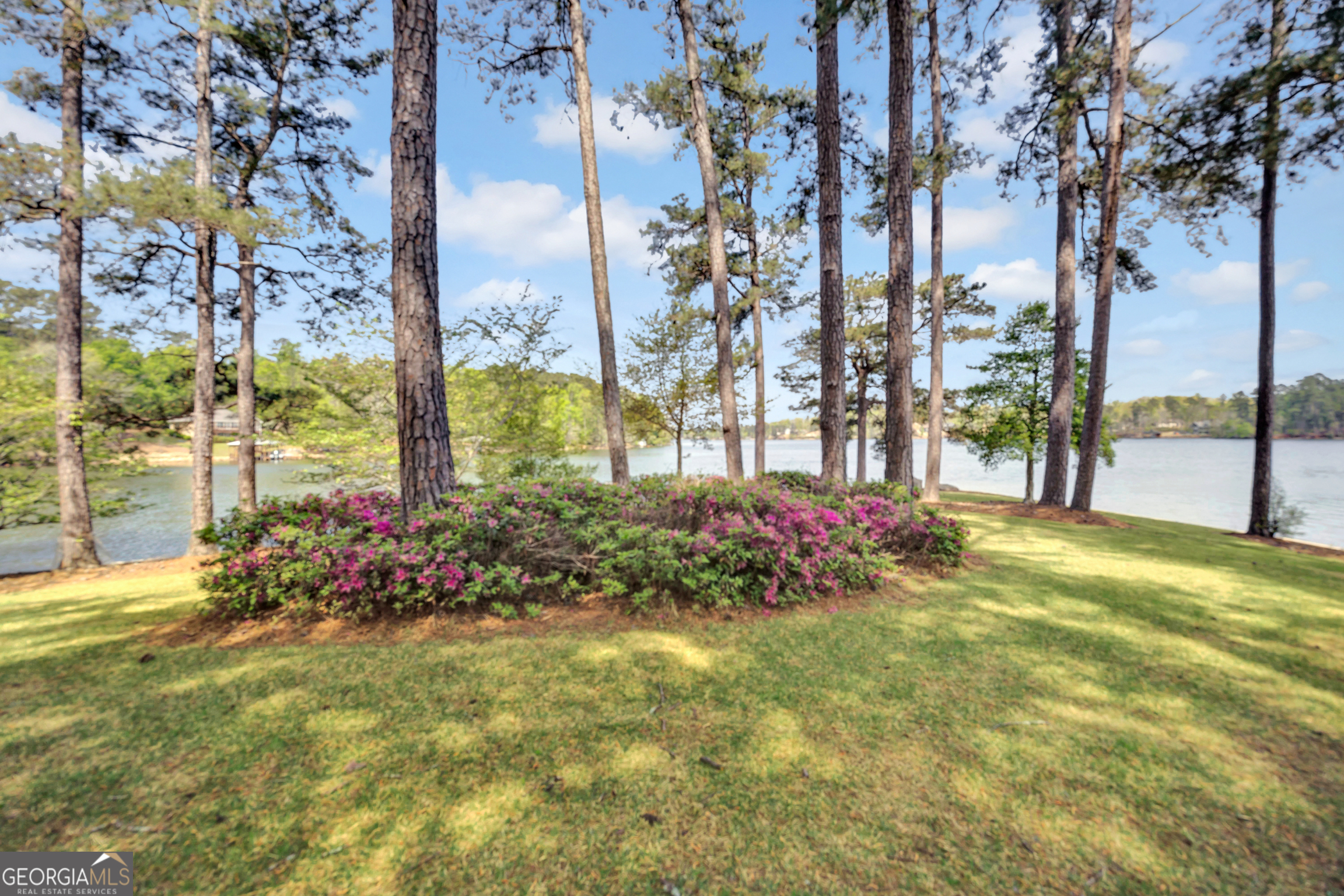 172 Tater Hill Road Property Photo 11