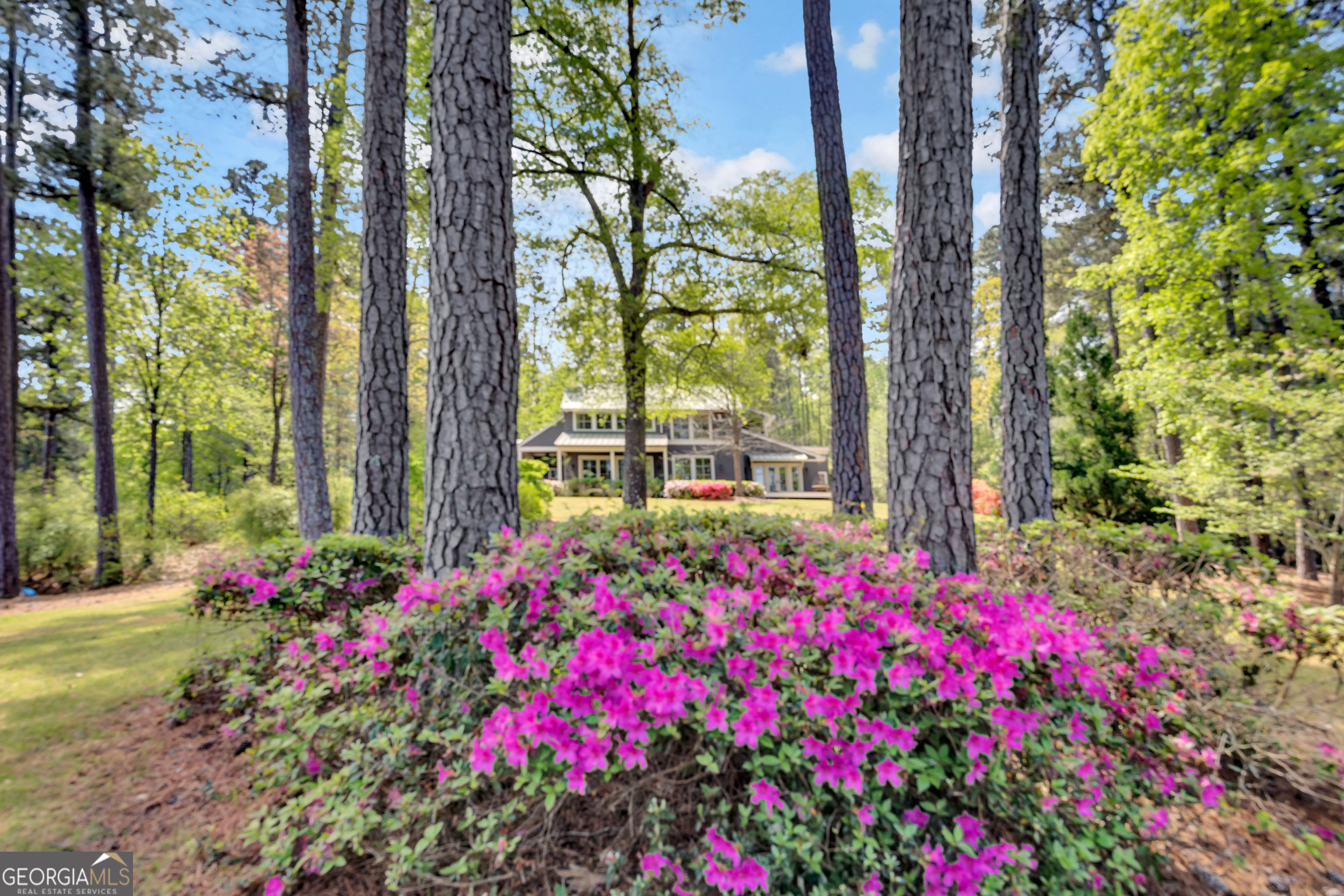 172 Tater Hill Road Property Photo 13