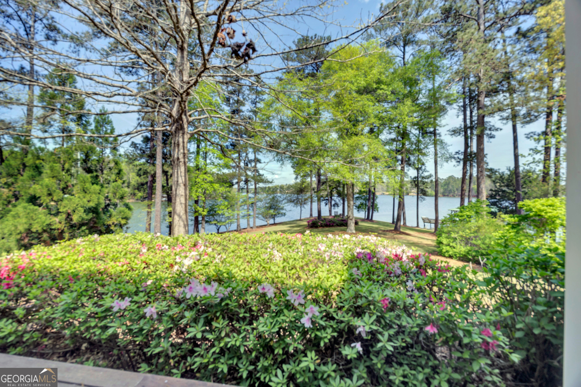 172 Tater Hill Road Property Photo 17