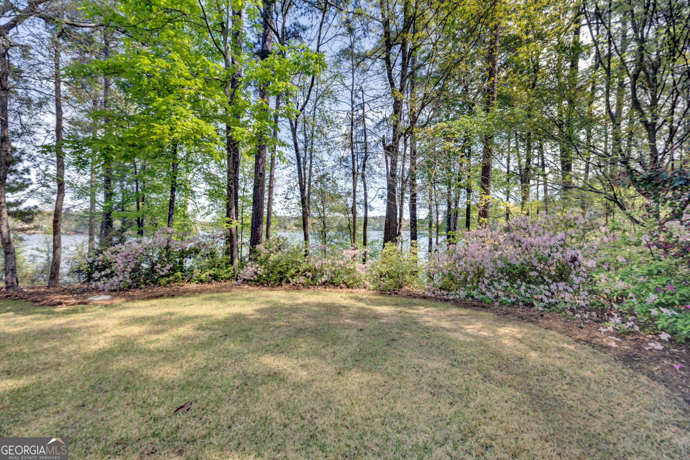 172 Tater Hill Road Property Photo 101