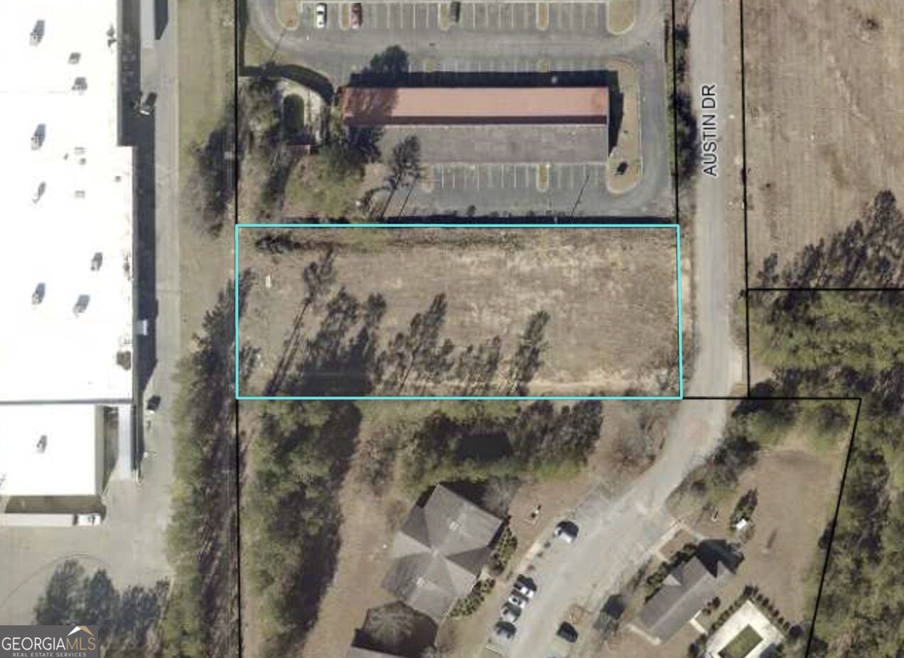0 Austin Drive Property Photo 2