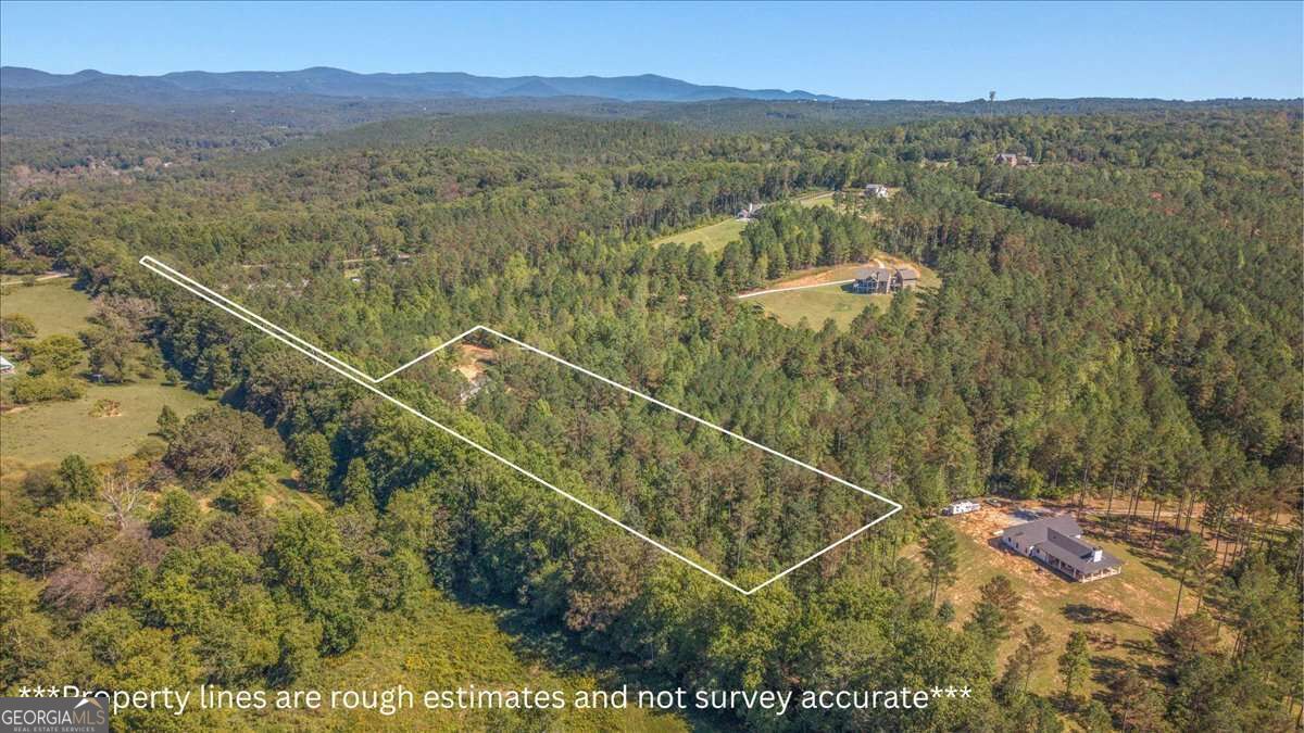 2519 Pleasant Hill Road Property Photo 41