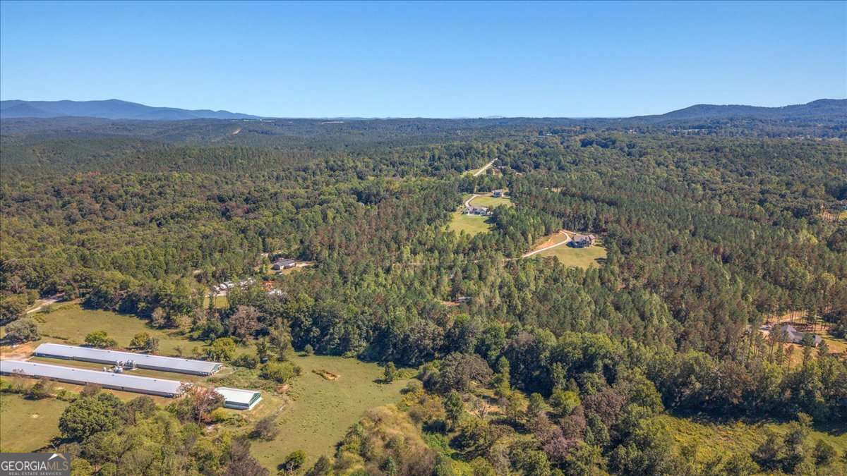 2519 Pleasant Hill Road Property Photo 43