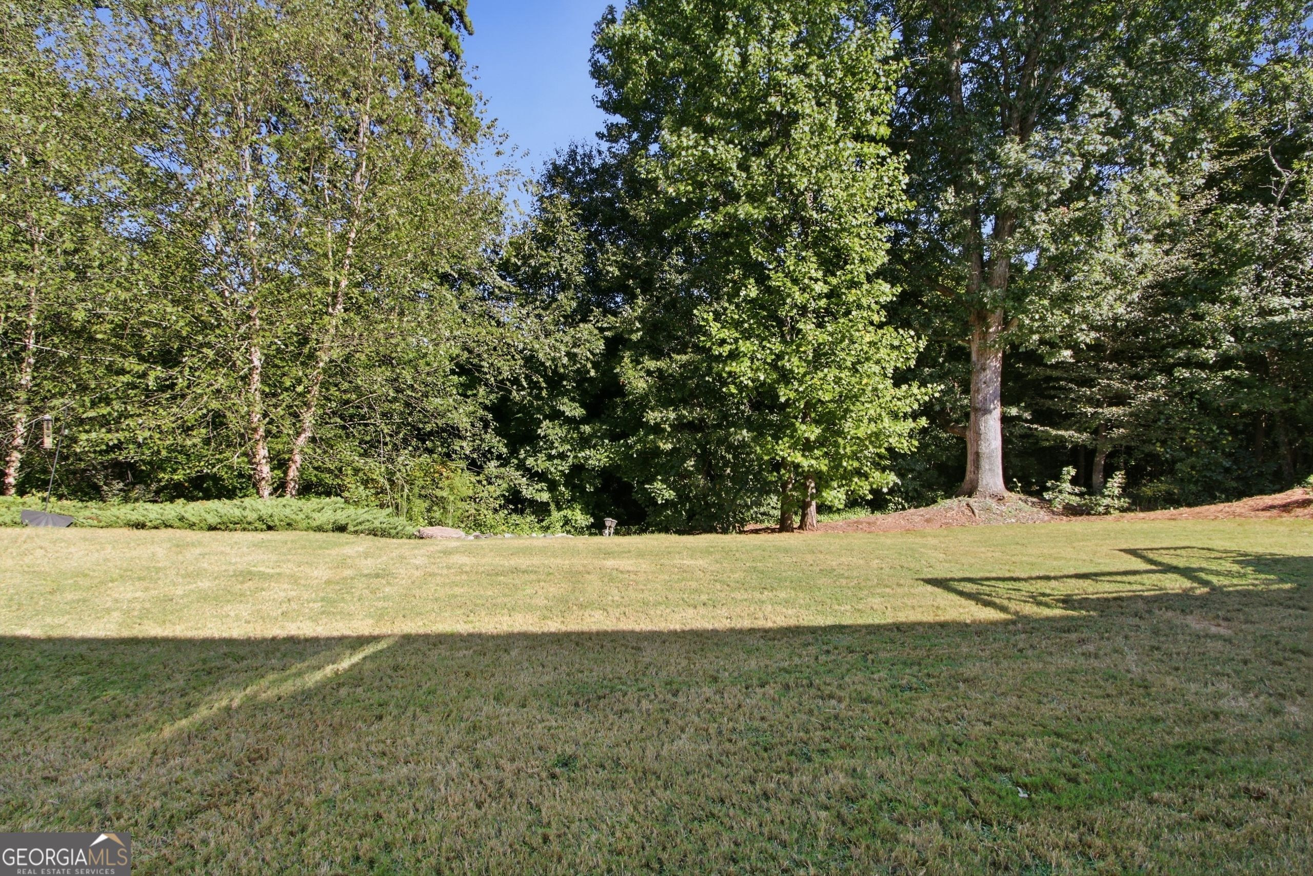 6785 Bransford Drive Property Photo 38