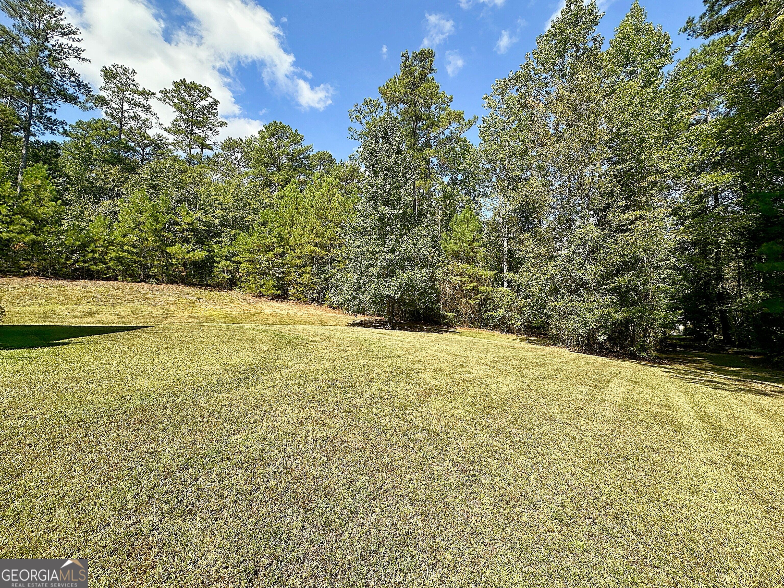 950 John Lovelace Road Property Photo 36