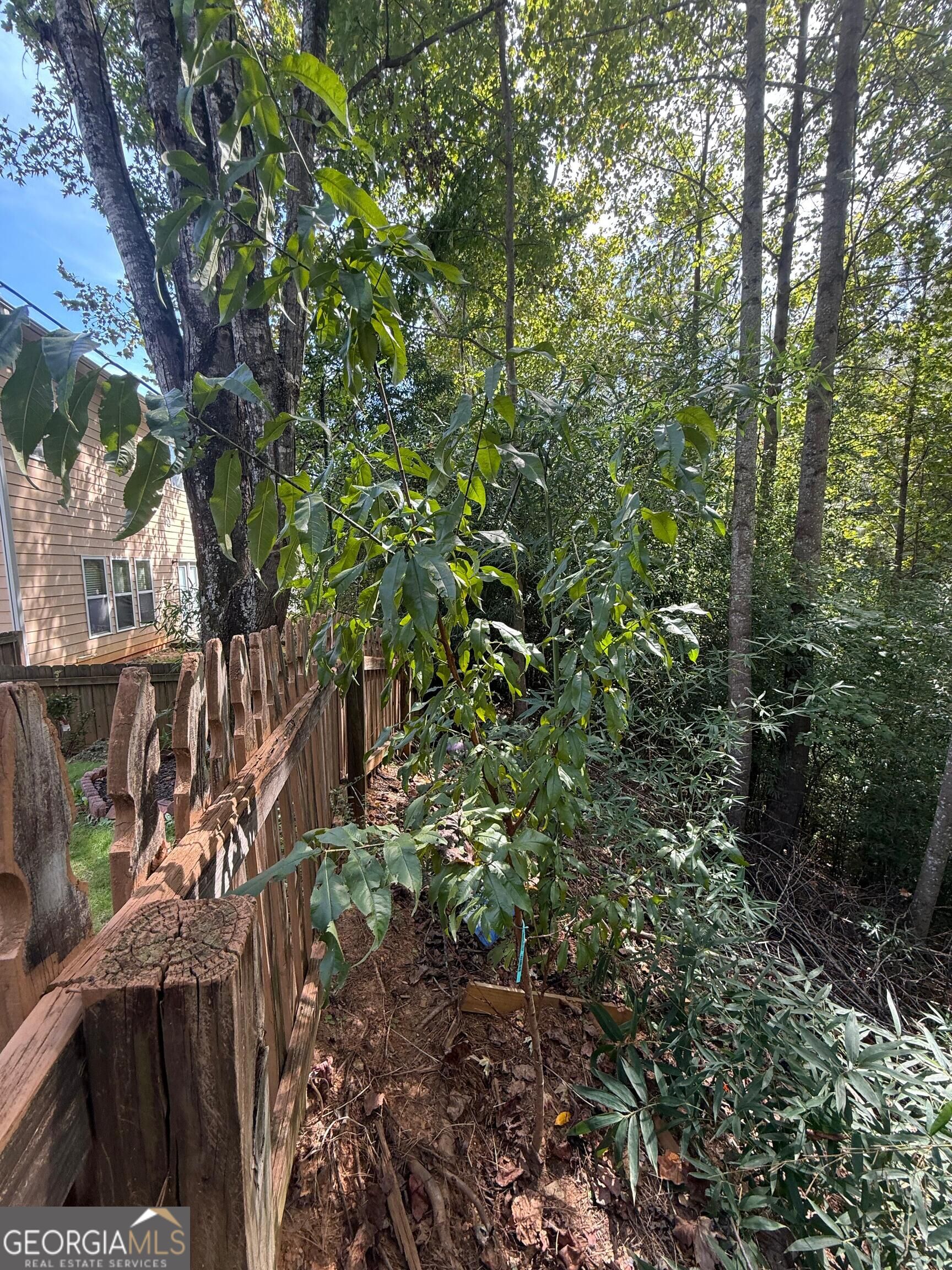 4266 Suwanee Brook Court Property Photo 28