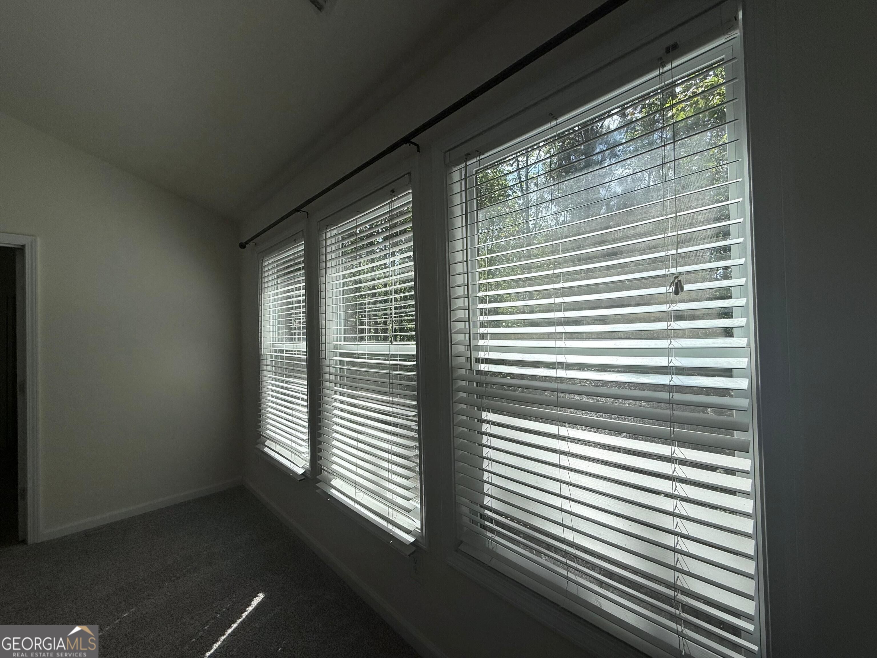 4266 Suwanee Brook Court Property Photo 54