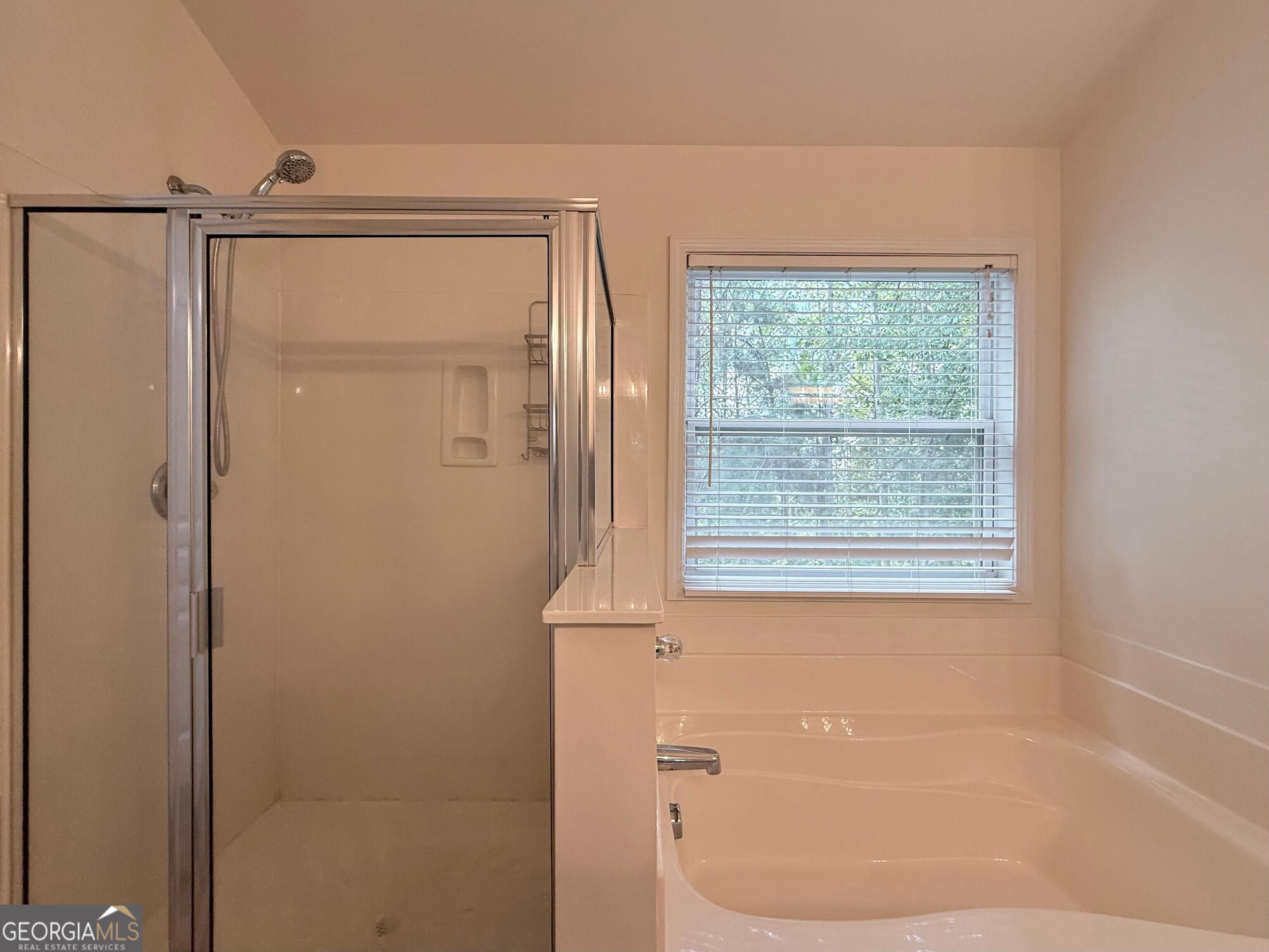 4266 Suwanee Brook Court Property Photo 61