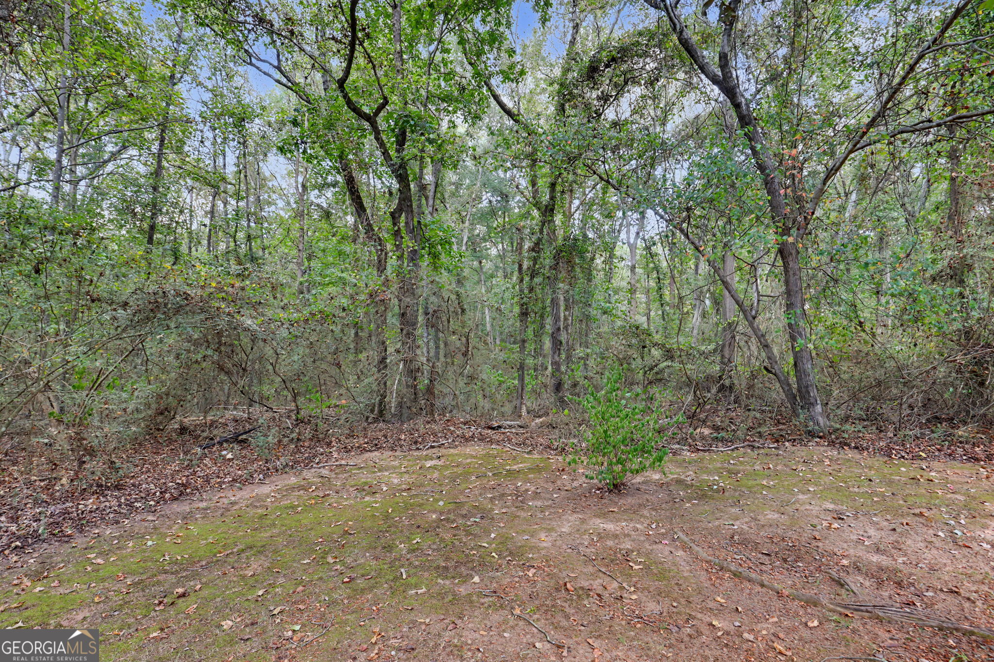 830 Lord Fleming Road Property Photo 51
