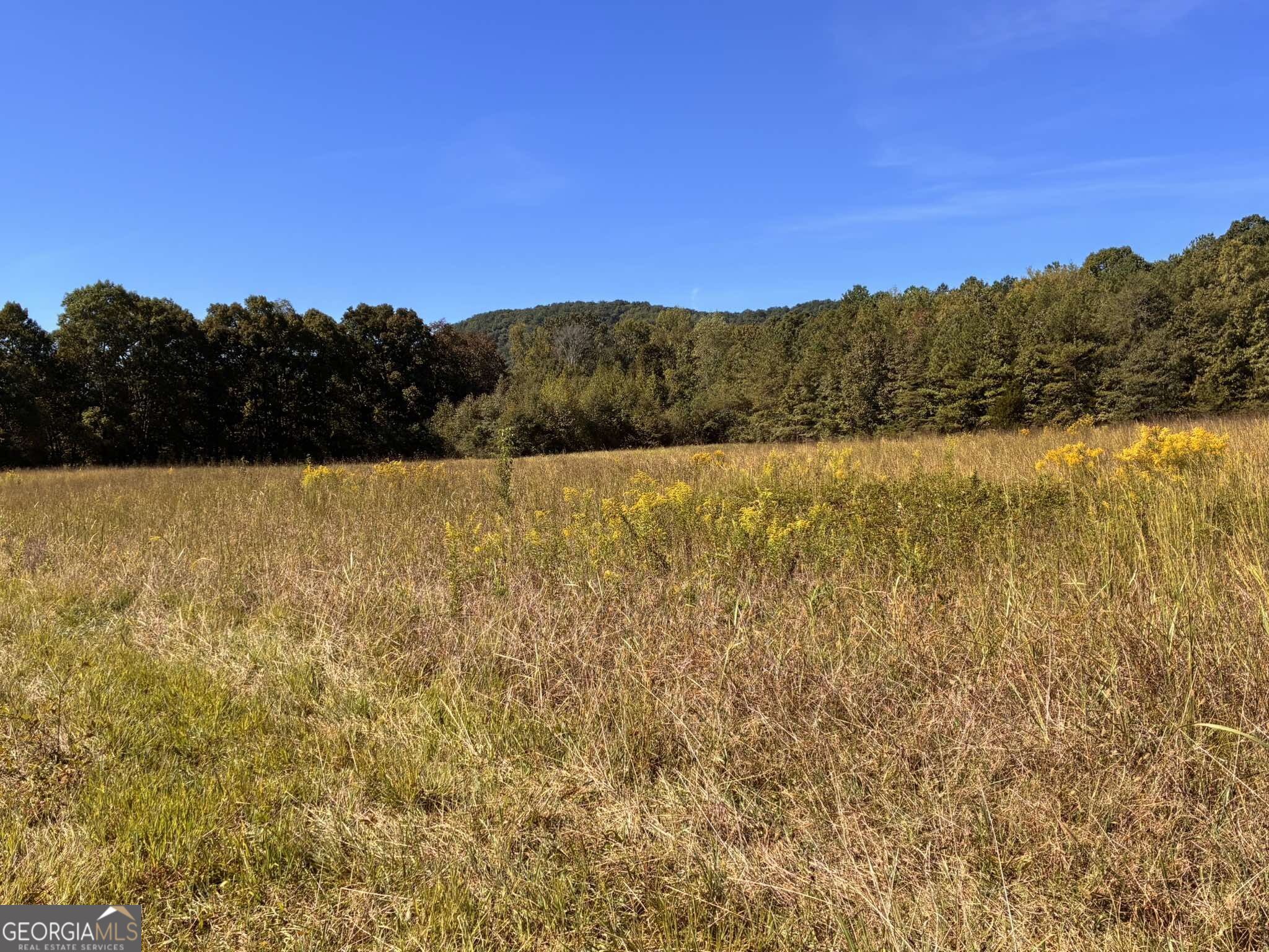 36.55 Acres Back Valley Road Property Photo 1