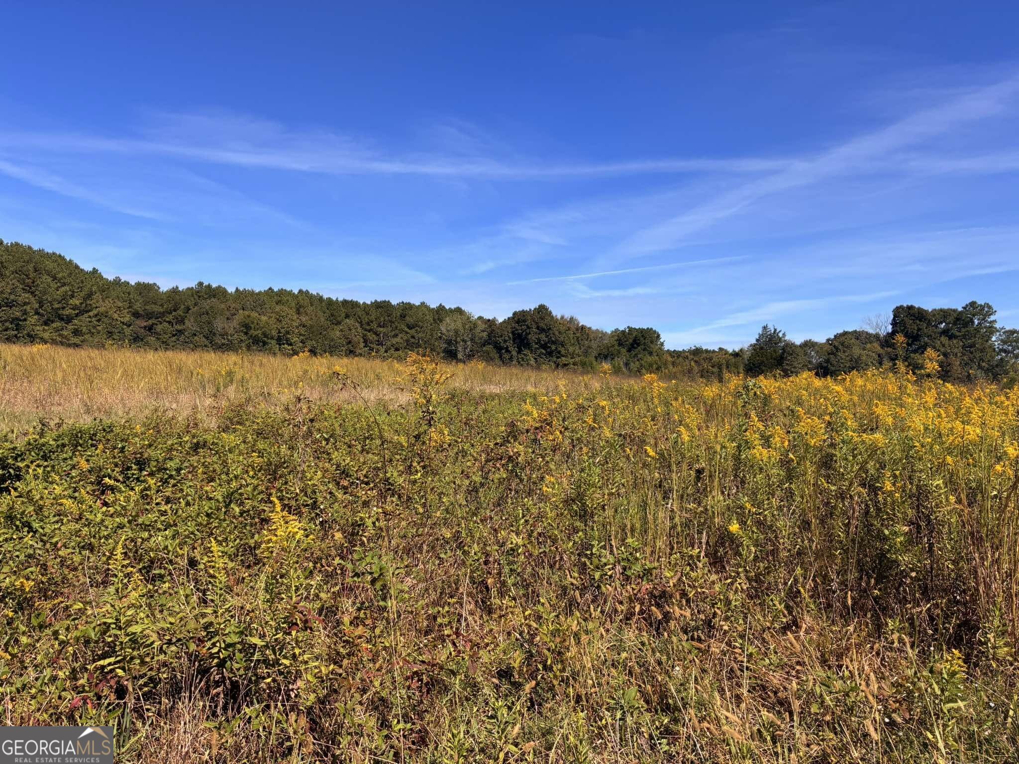 36.55 Acres Back Valley Road Property Photo 2