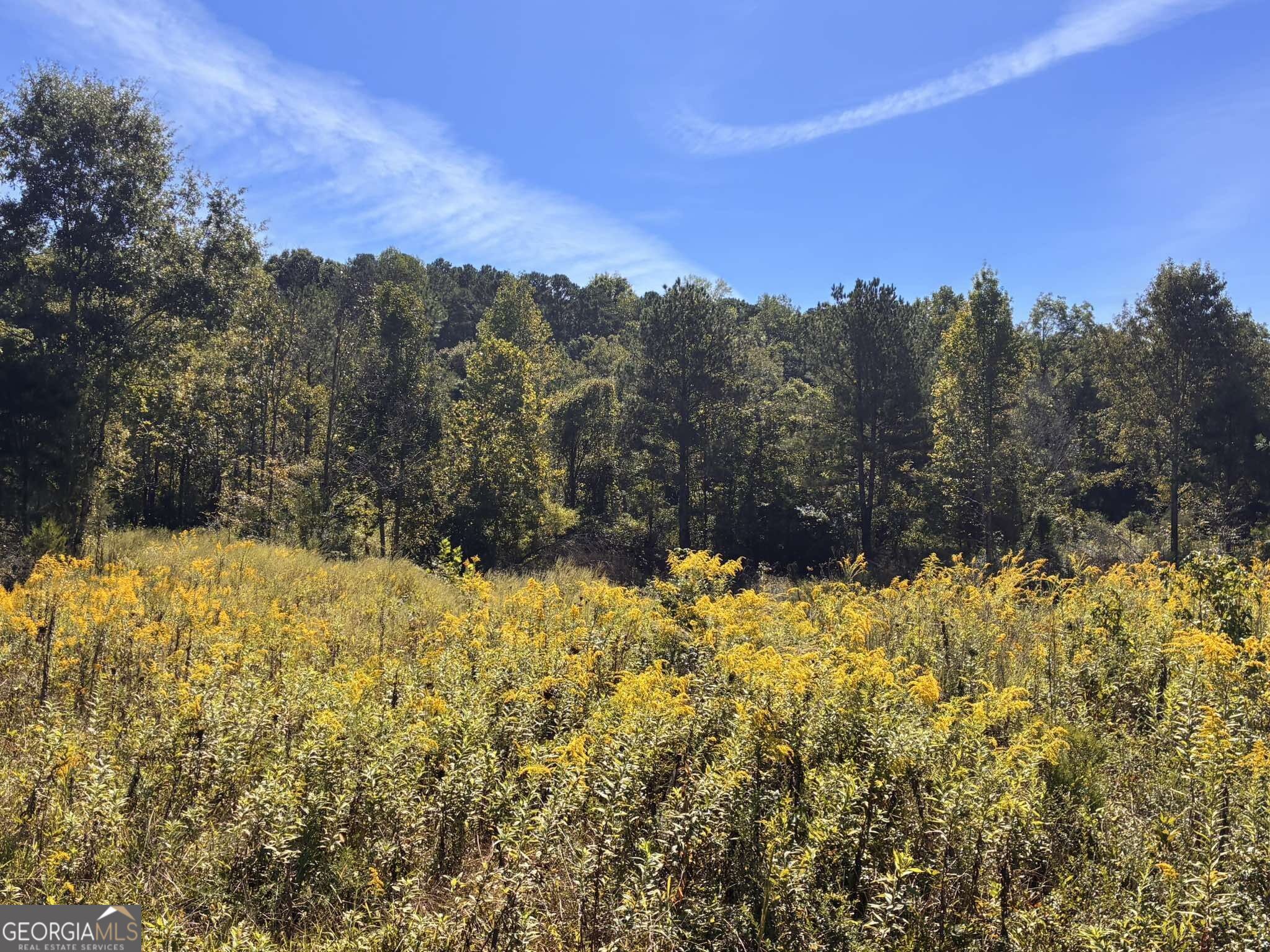36.55 Acres Back Valley Road Property Photo 3