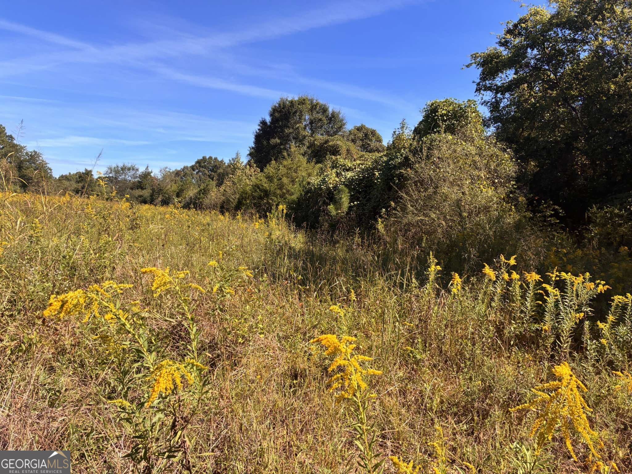 36.55 Acres Back Valley Road Property Photo 4