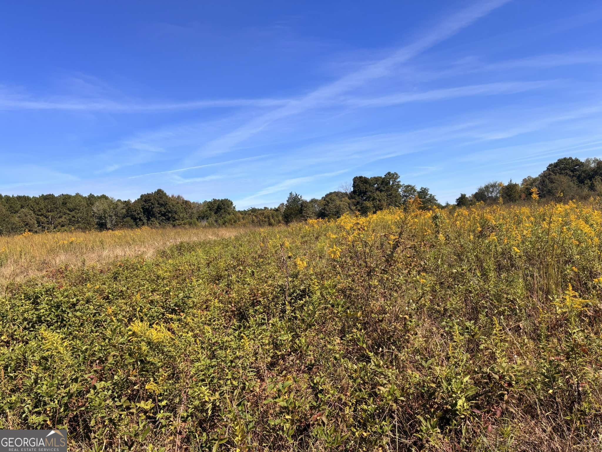 36.55 Acres Back Valley Road Property Photo 5