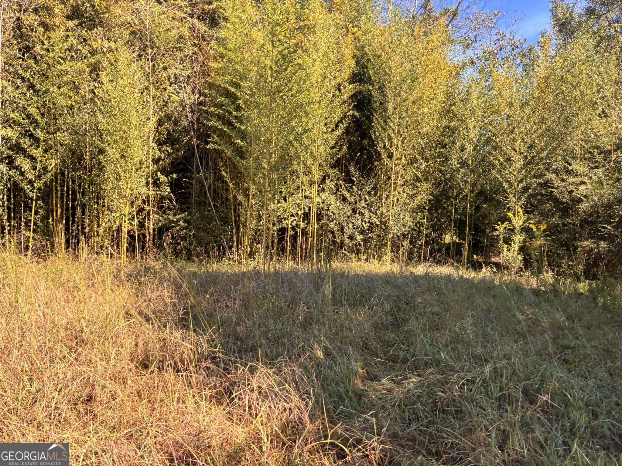36.55 Acres Back Valley Road Property Photo 6