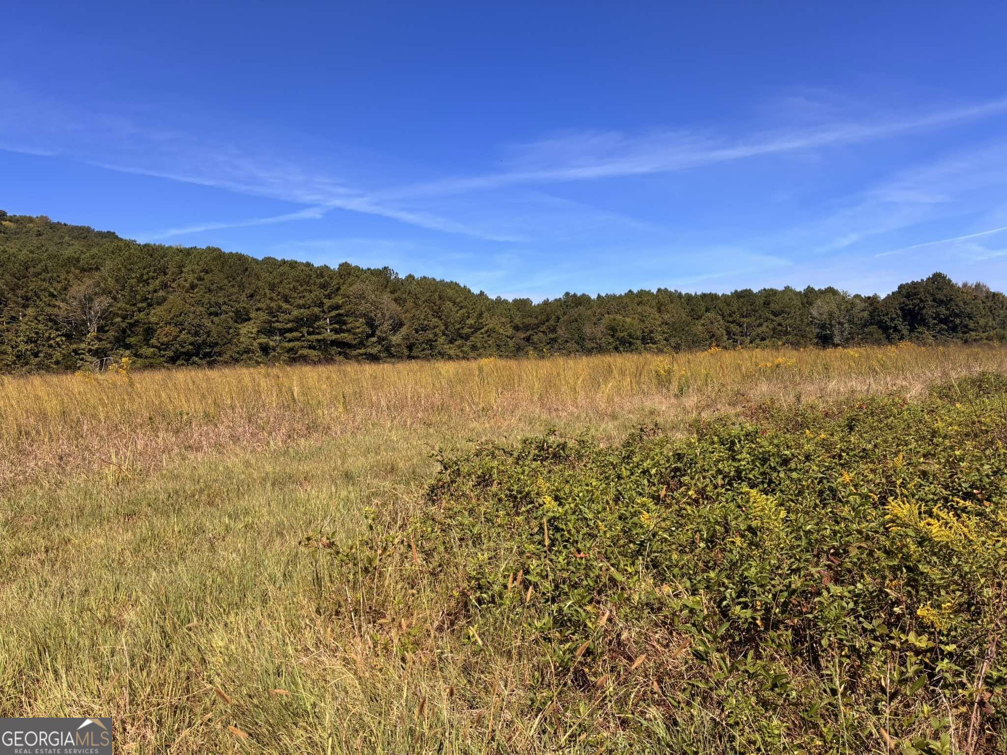 36.55 Acres Back Valley Road Property Photo 7