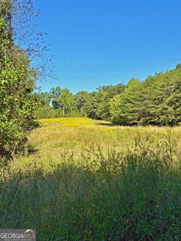 0 Hatcher Spangler Road Property Photo 3
