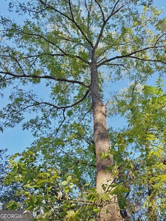 0 Hatcher Spangler Road Property Photo 5